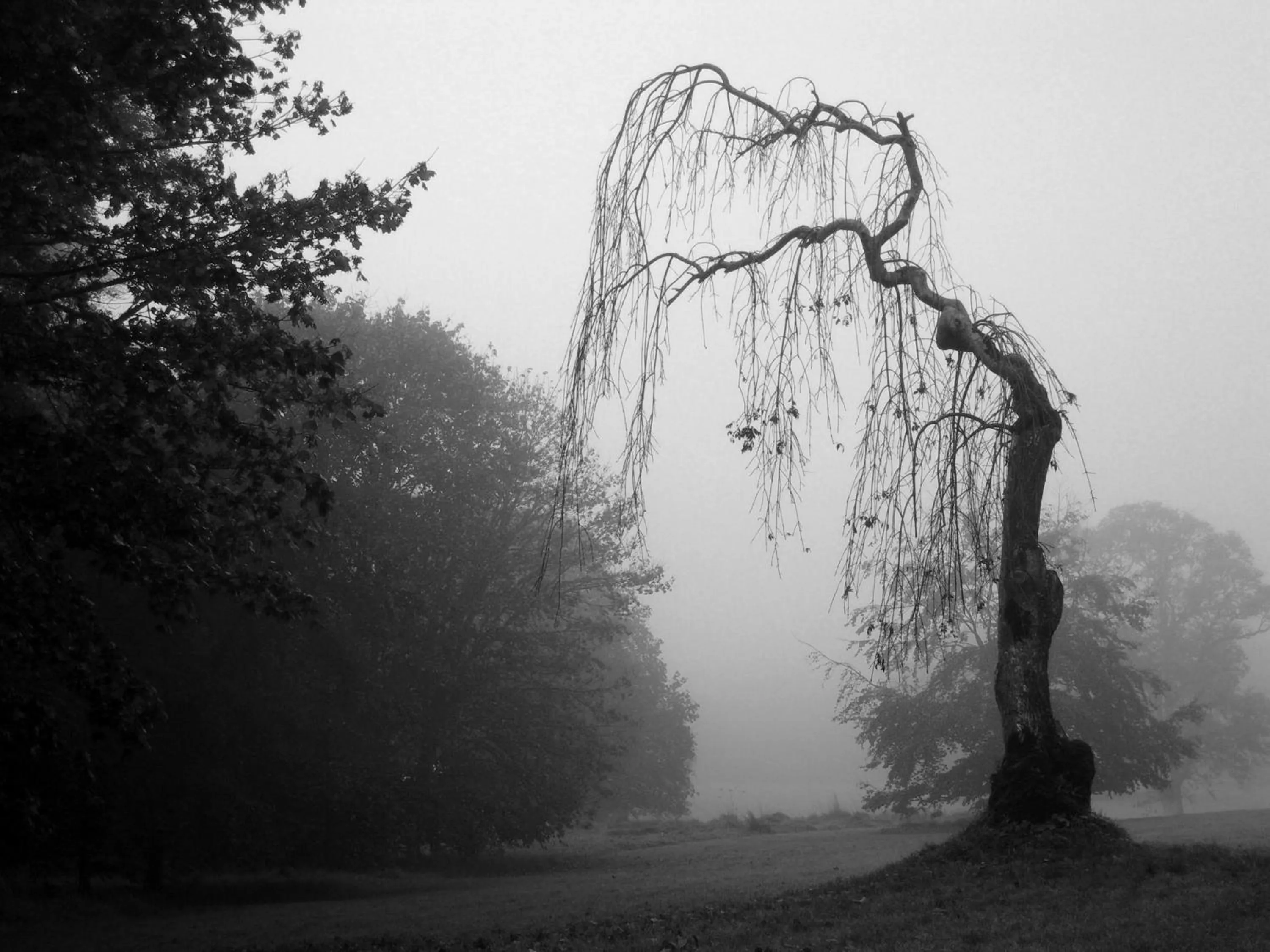 Rosdarrig Bed & Breakfast