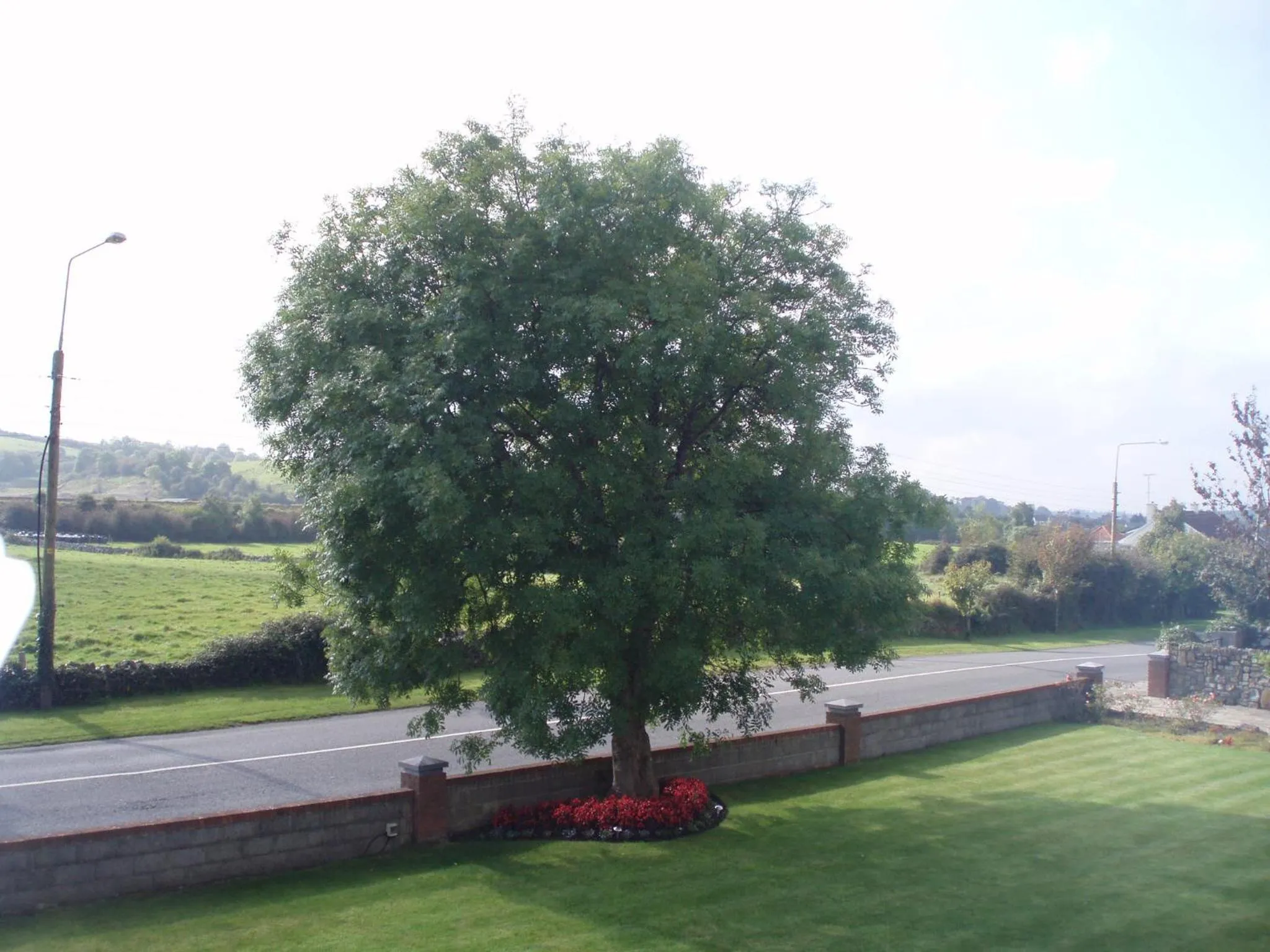 Rosdarrig Bed & Breakfast