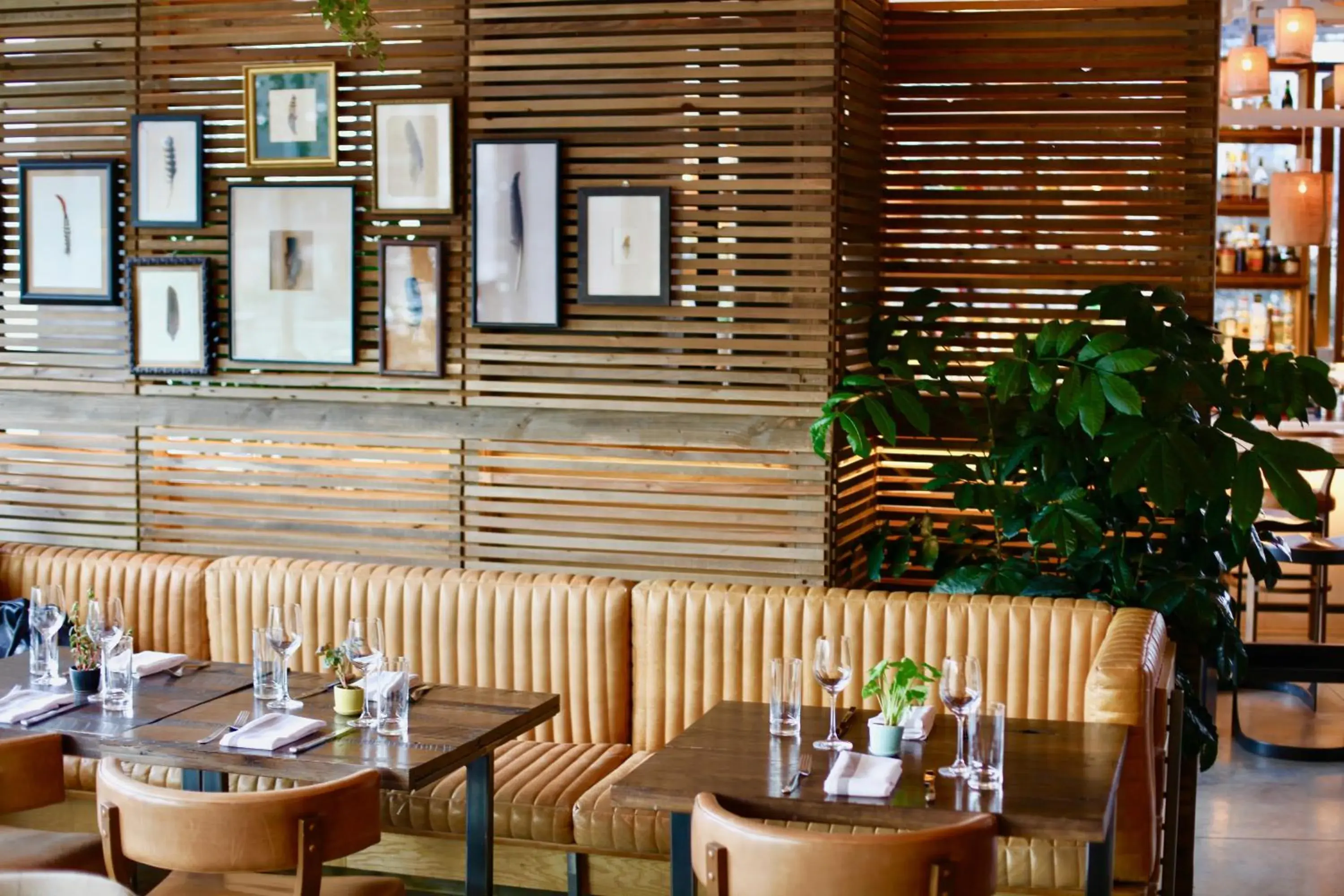 Restaurant/places to eat in 1 Hotel Brooklyn Bridge Restaurant/places to eat in 1 Hotel Brooklyn Bridge