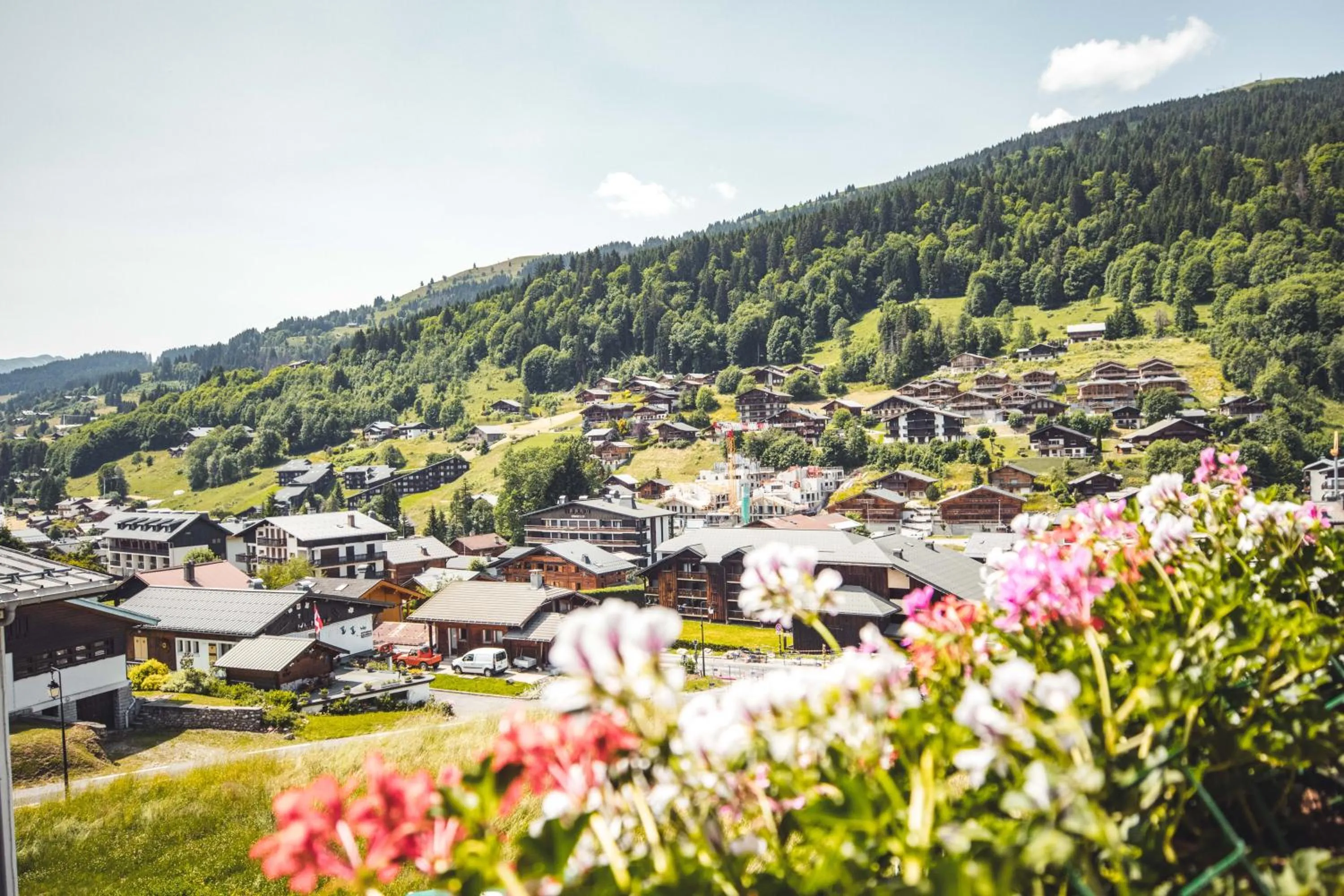 Neighbourhood in Hôtel Alpina & SPA - Restaurant Oxalis