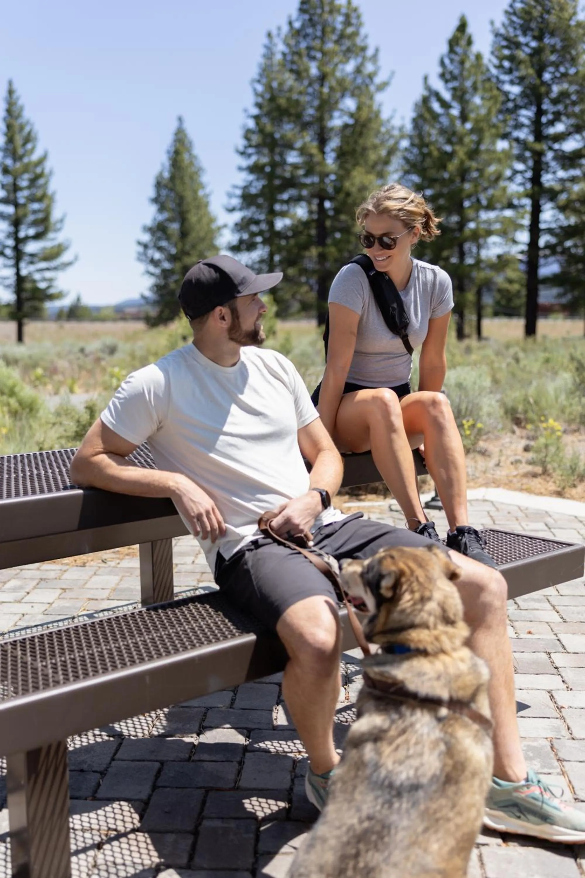 Pets in Martis Valley Lodge, Tapestry Collection by Hilton