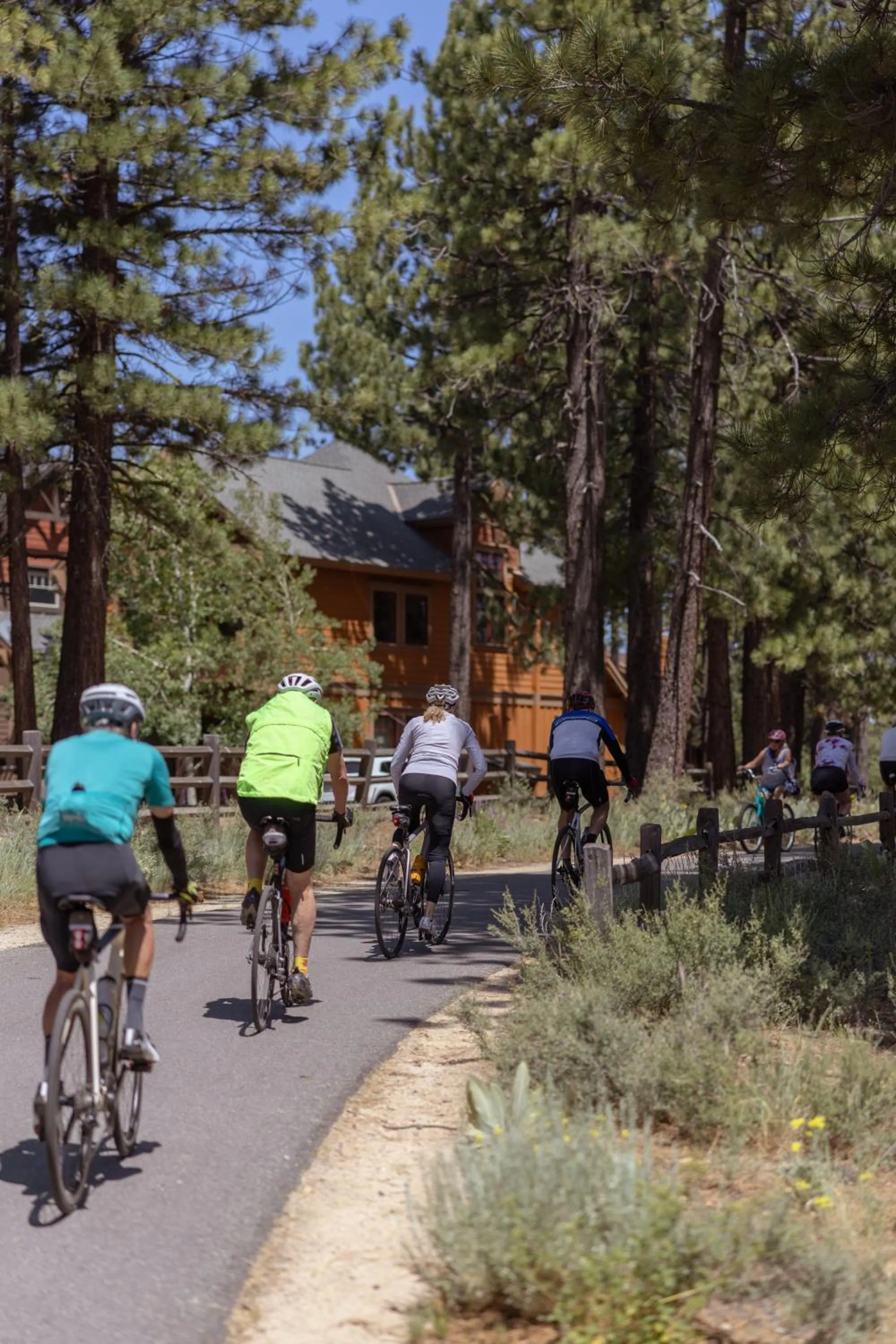 Cycling in Martis Valley Lodge, Tapestry Collection by Hilton