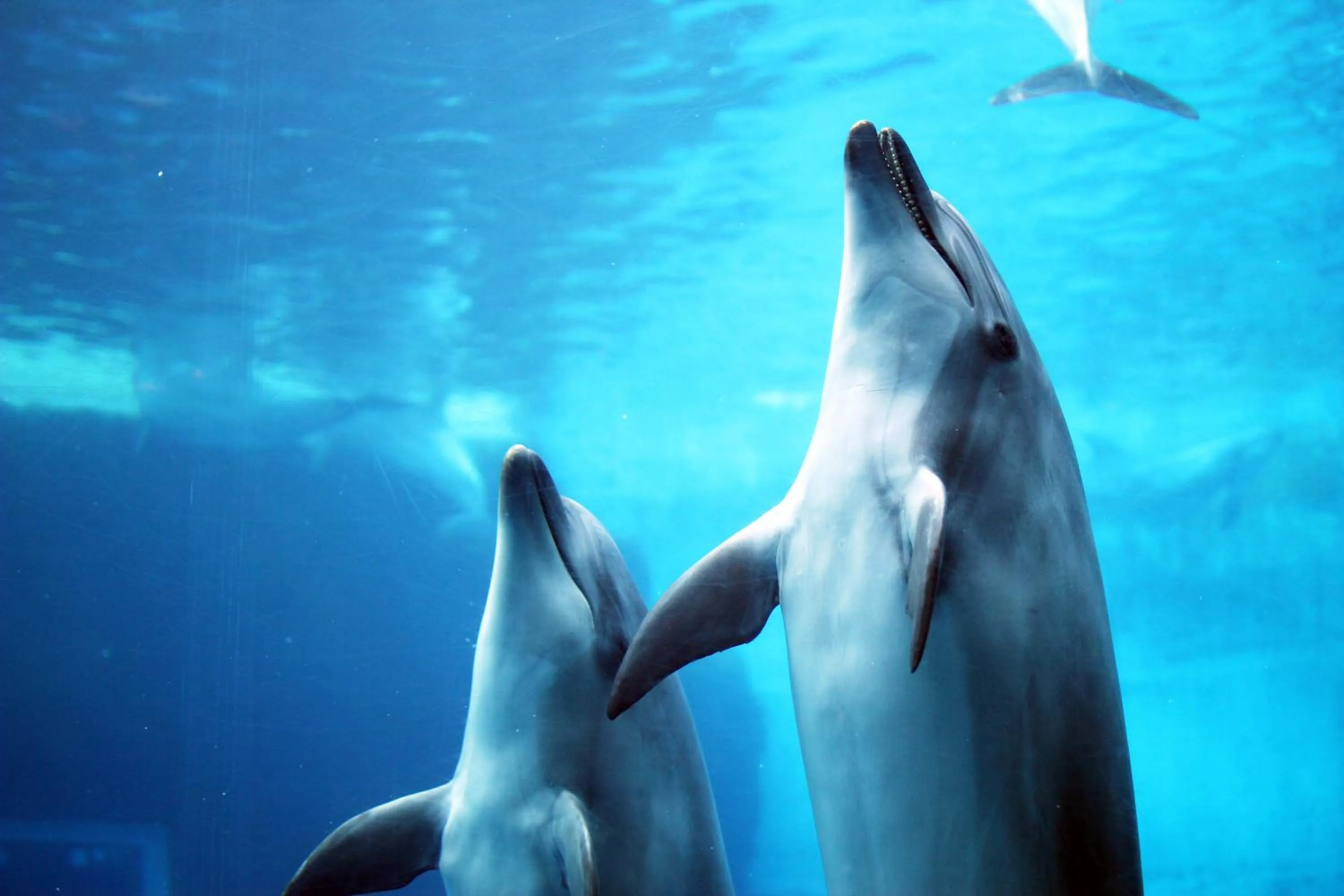 Nearby landmark in Hotel Nature Nagoya Sakae Kishu Railway Group