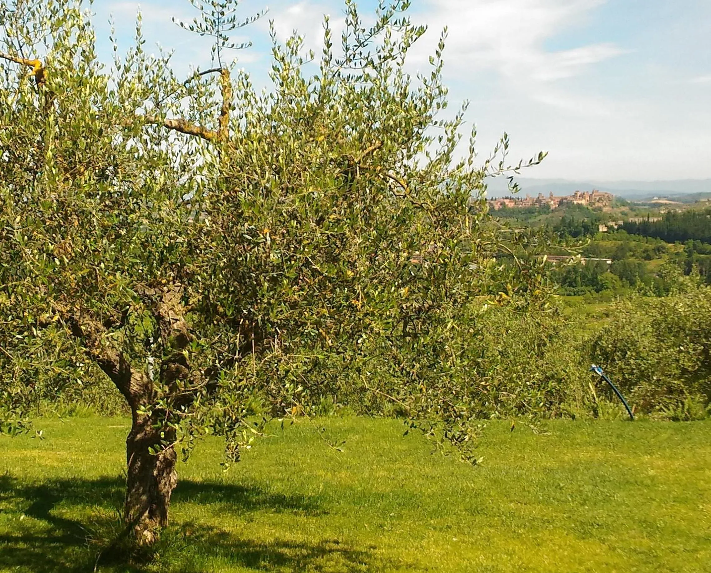 Garden in Capanna 1826