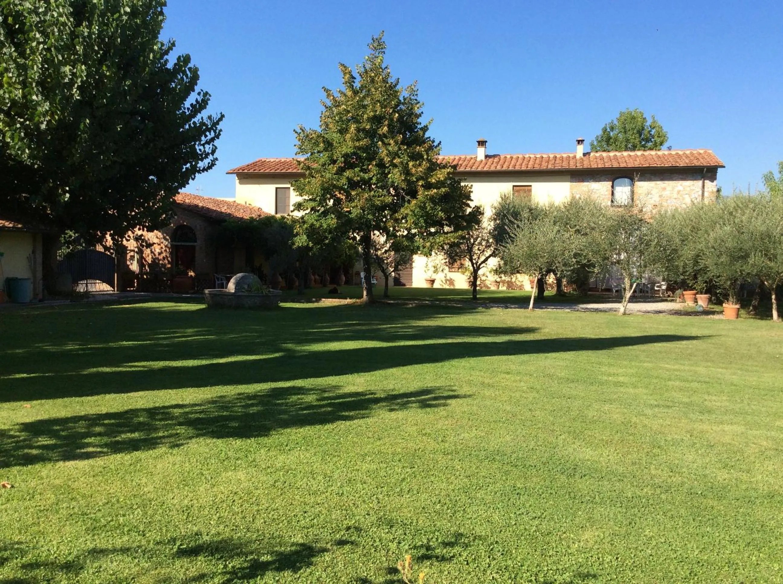 Garden in Bed and breakfast Queen