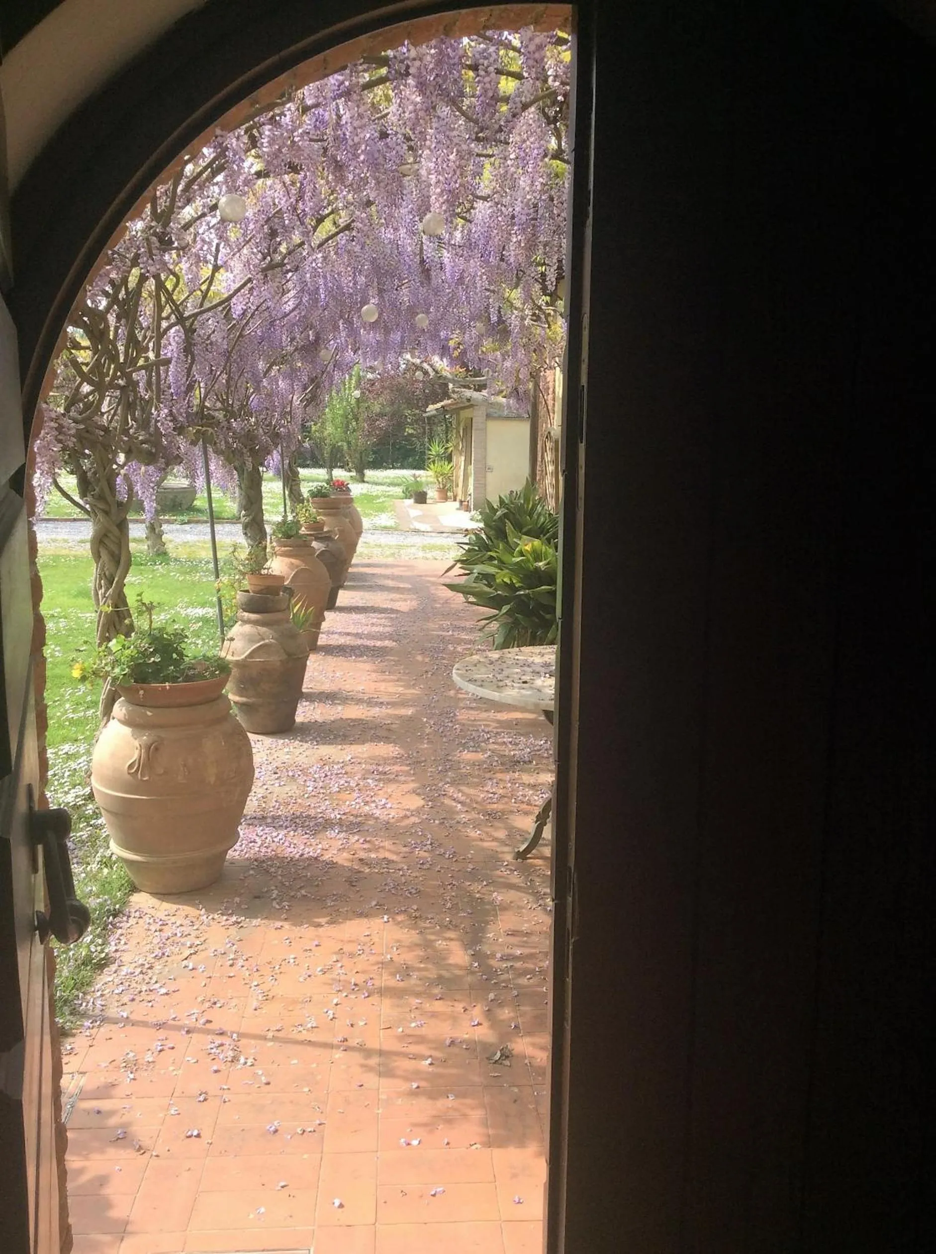 Garden in Bed and breakfast Queen