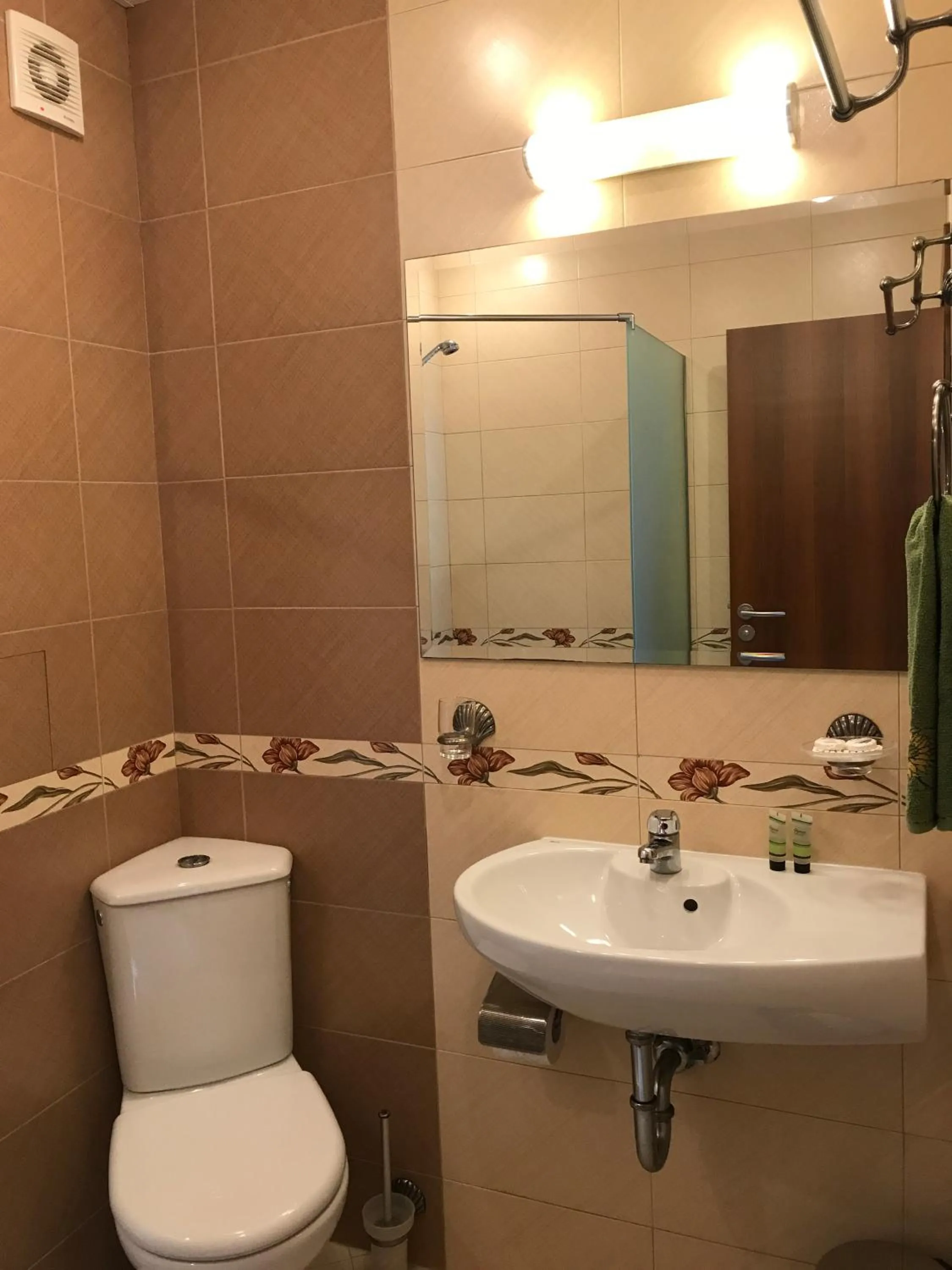 Bathroom in Family Hotel Radiana