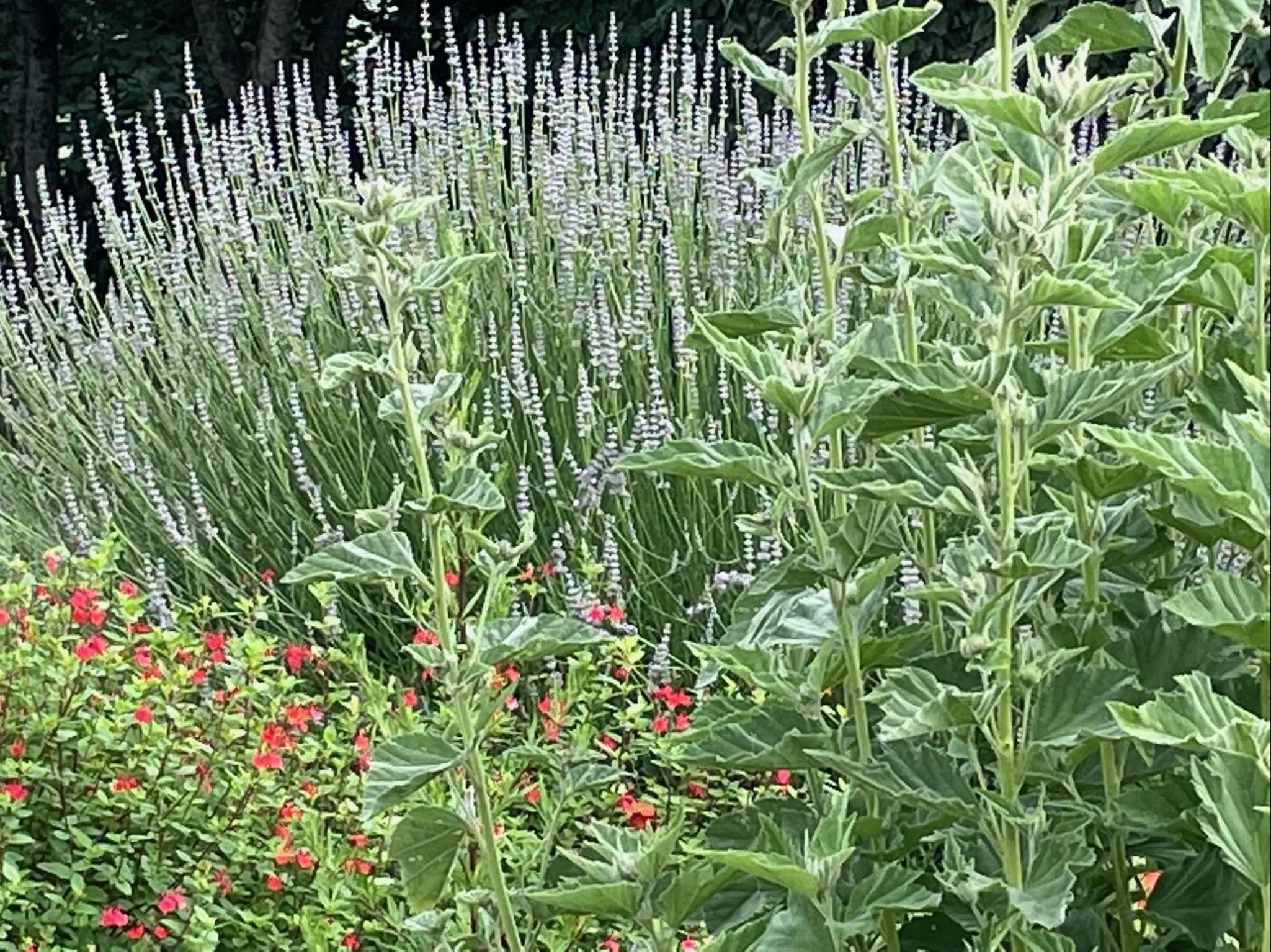 Garden in Hôtel - Spa Les Corderies