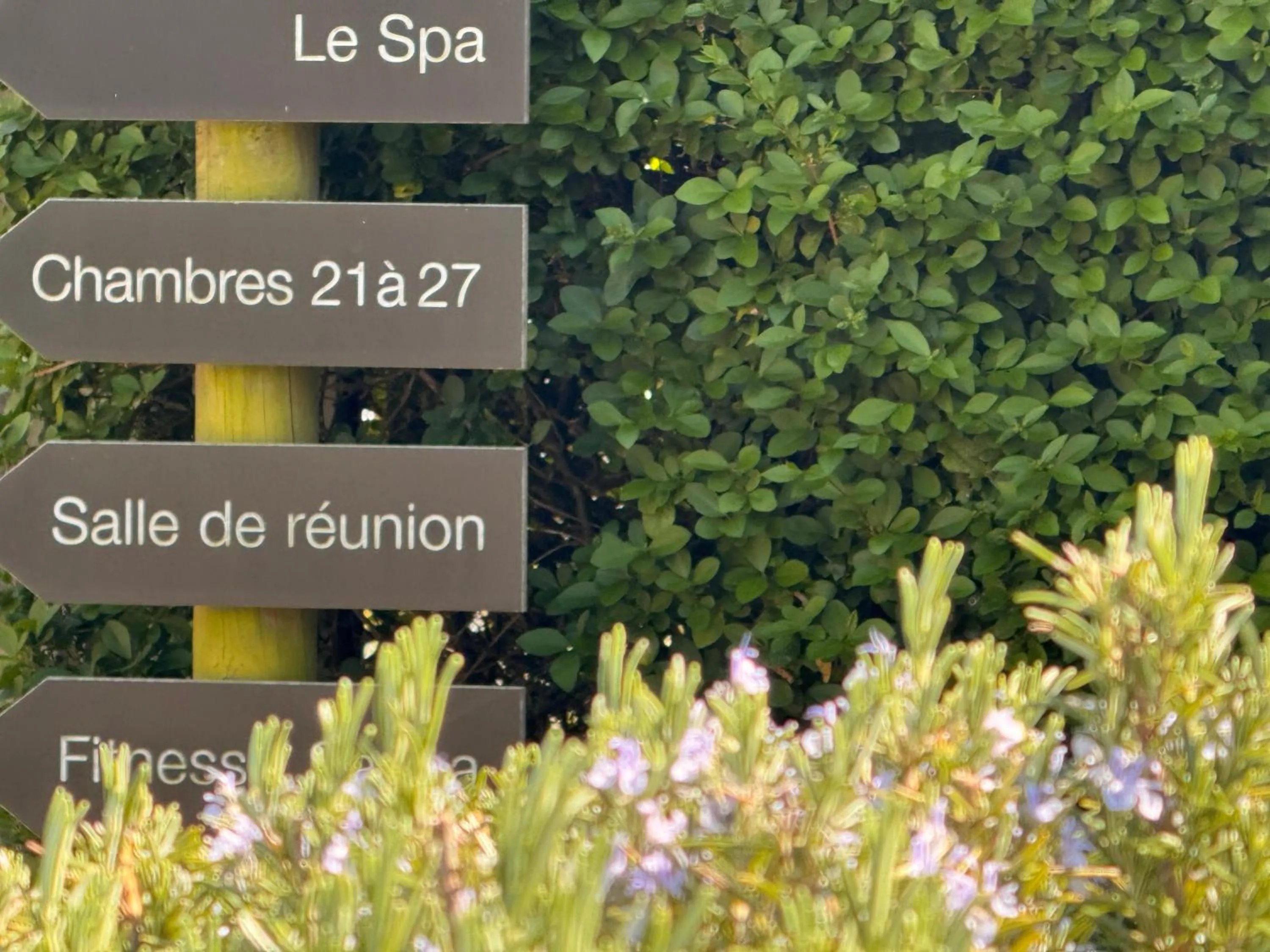 Garden in Hôtel - Spa Les Corderies