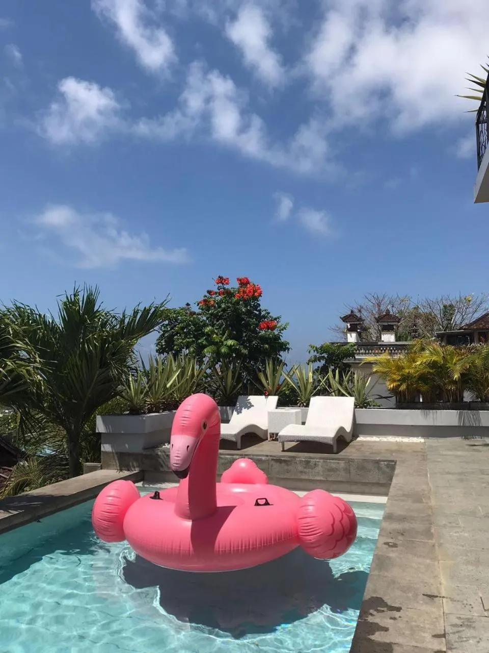 Swimming pool in Elmina Villa Bali
