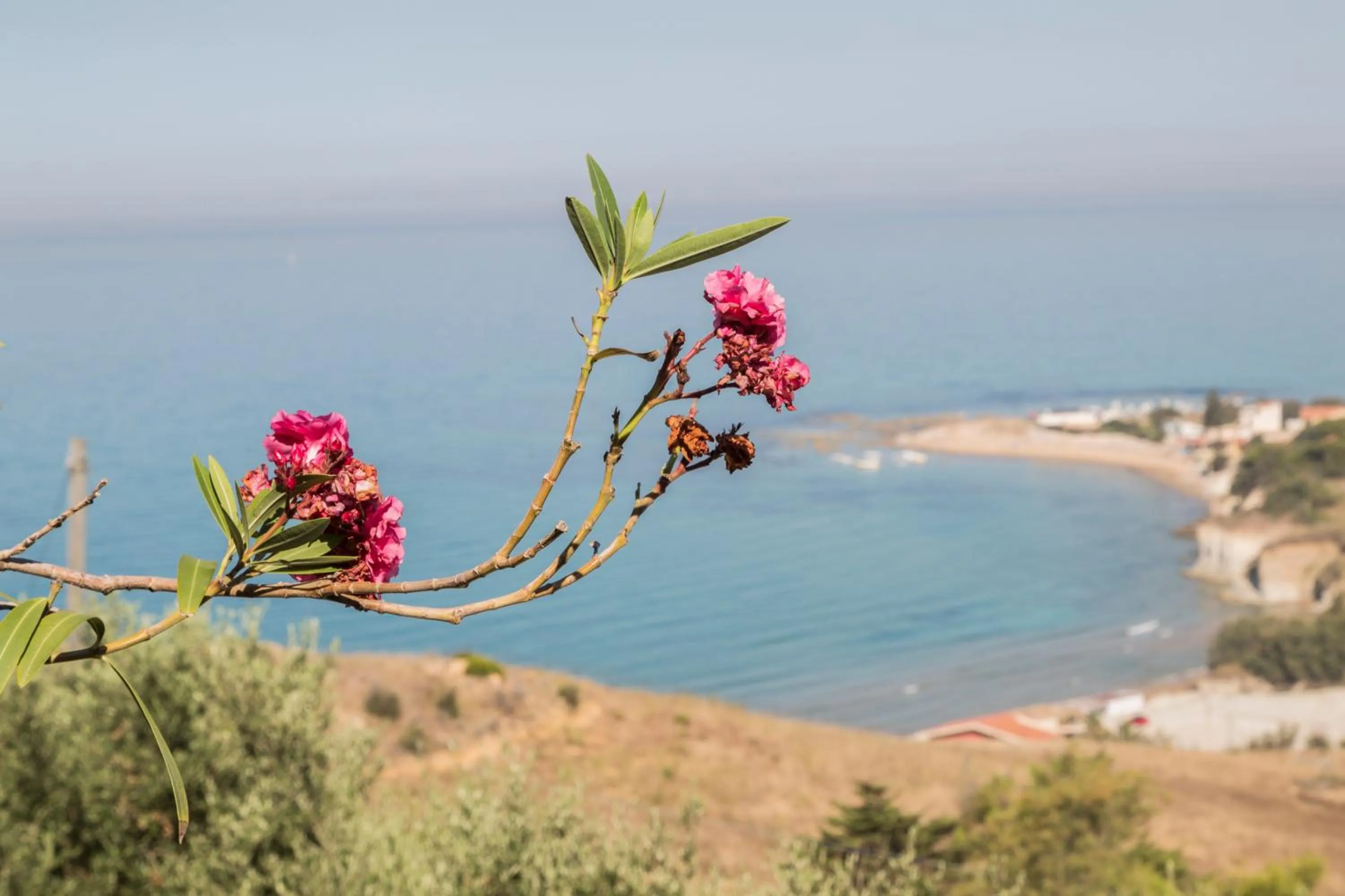 B&B Monterosso