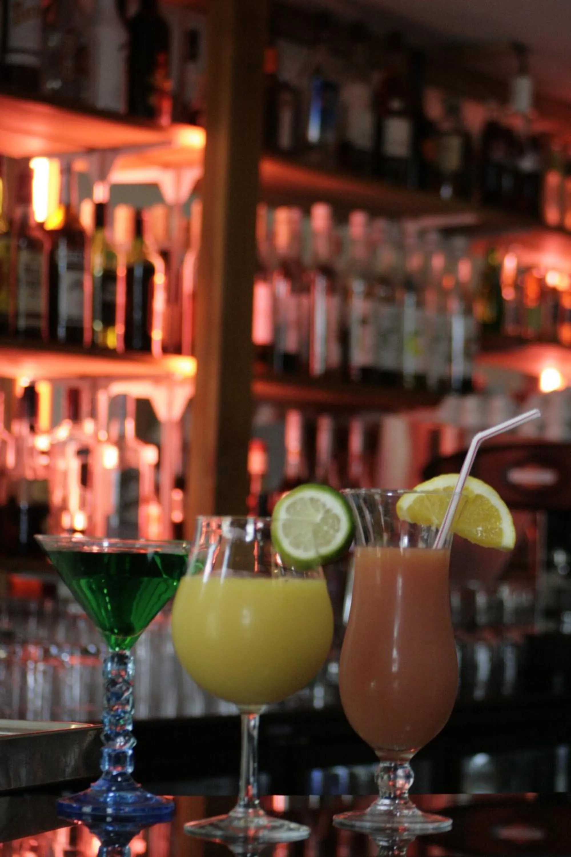 Lounge or bar in Les Jardins de Beauval