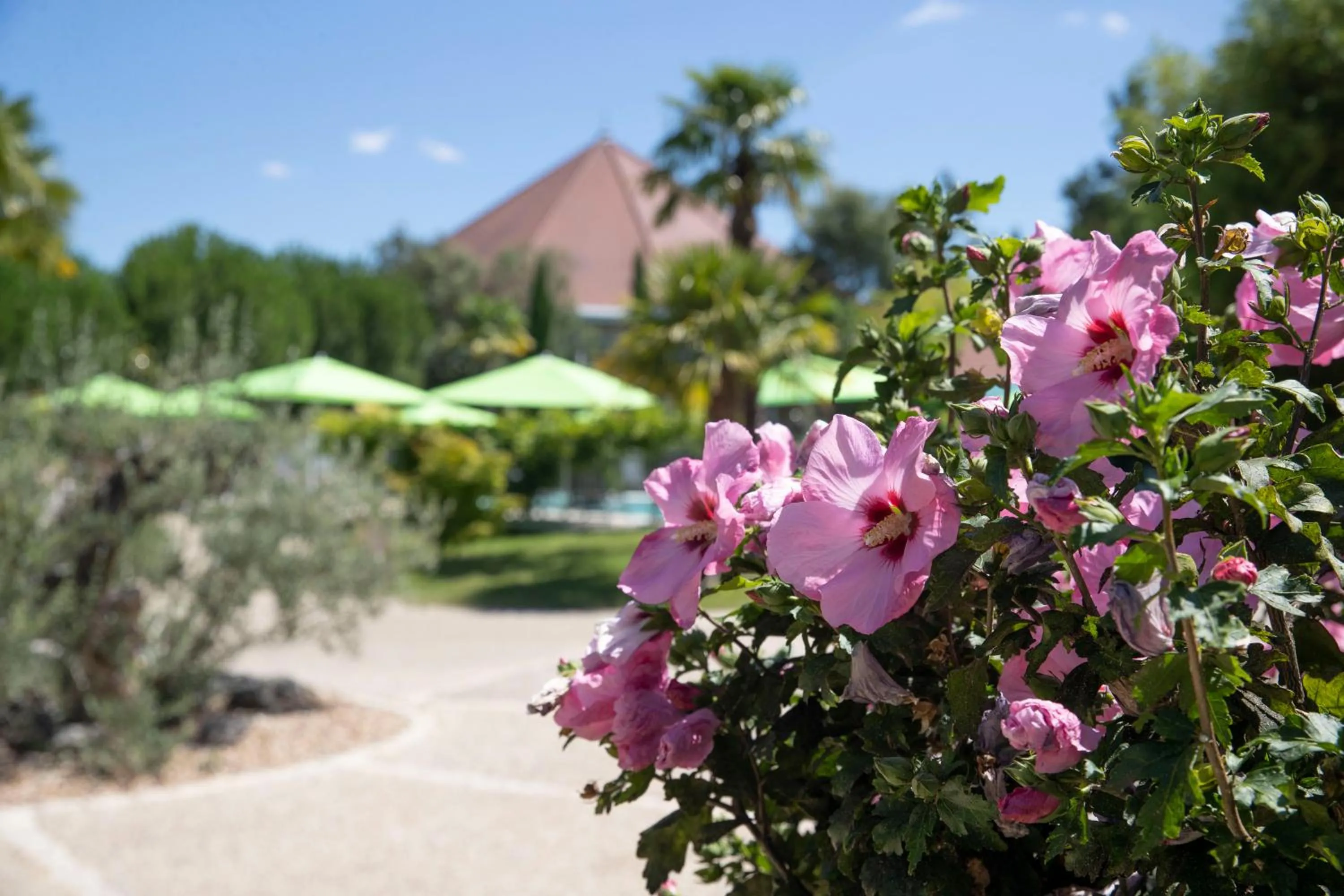 Natural landscape in Les Jardins de Beauval