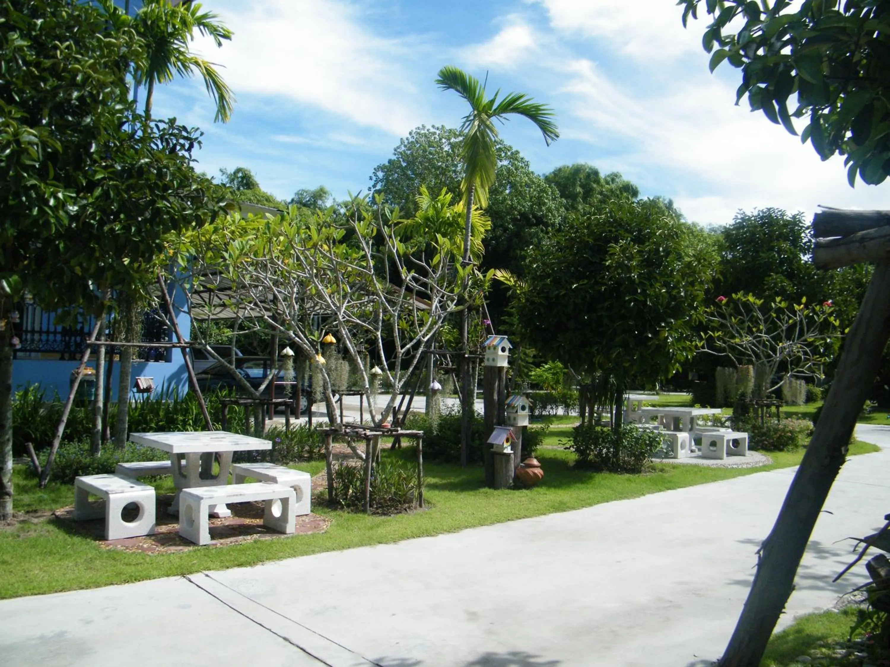 Natural landscape in Ya Teng Homestay