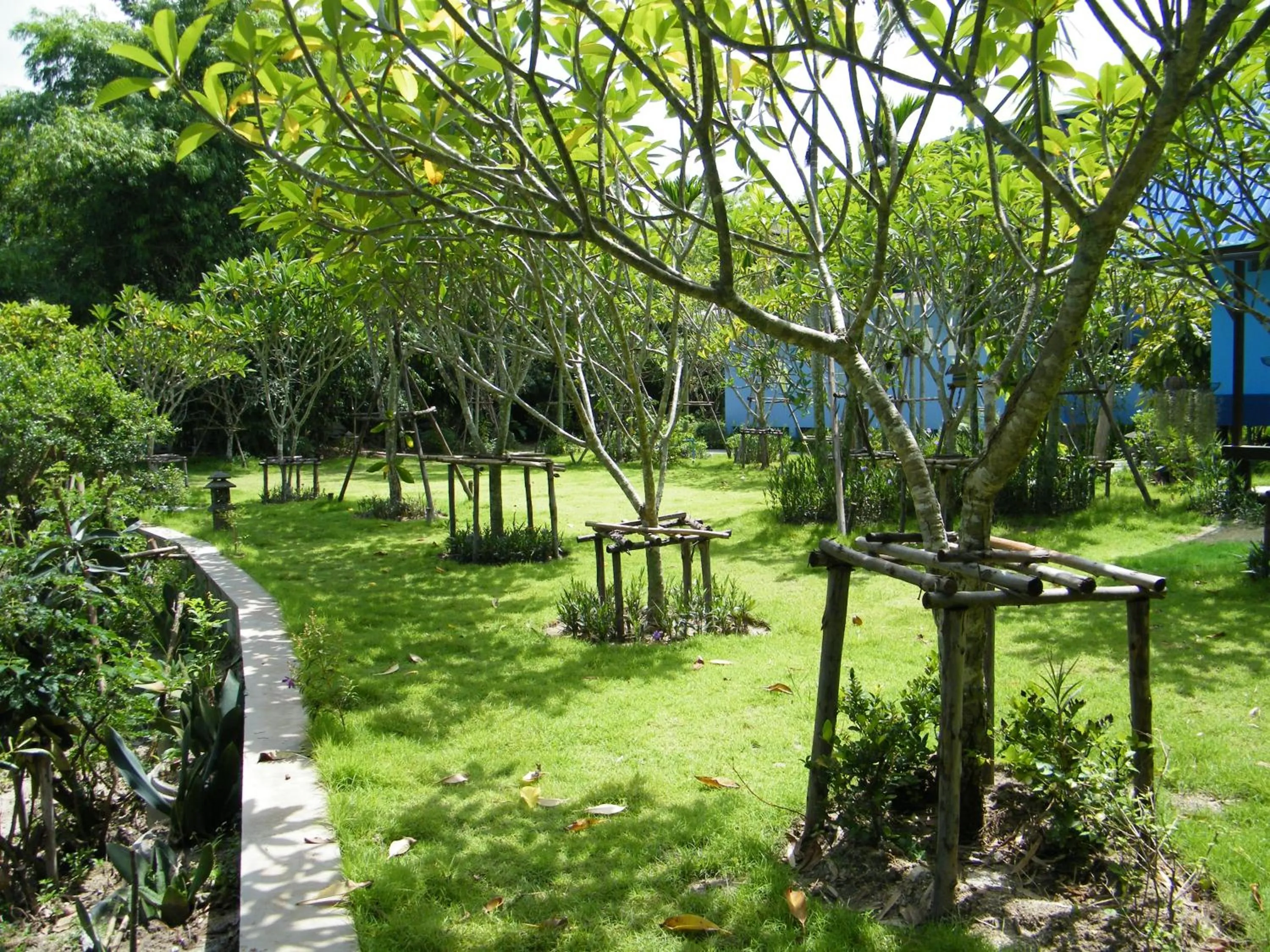 Garden in Ya Teng Homestay