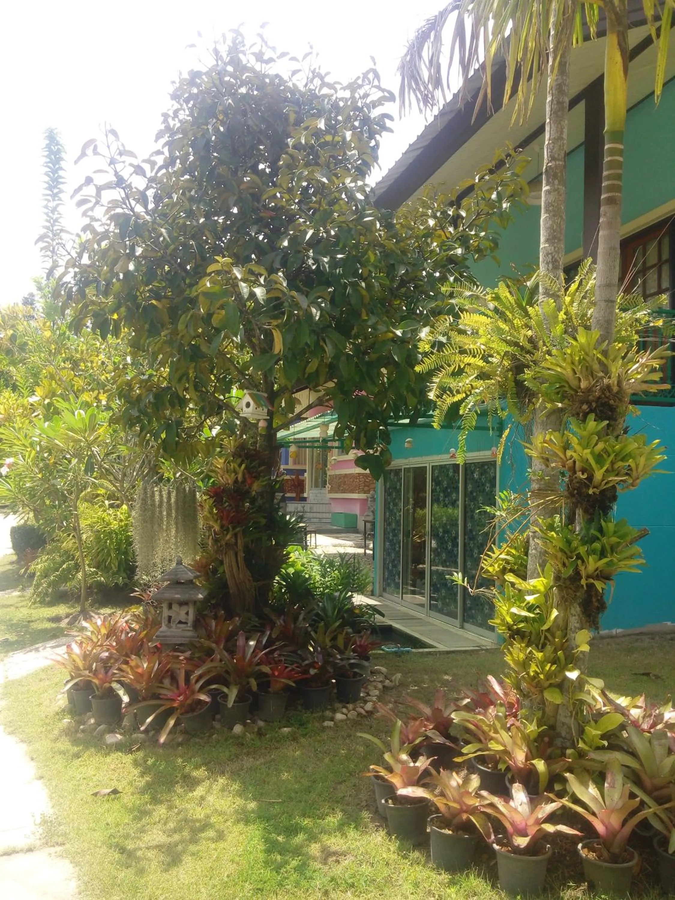 Natural landscape in Ya Teng Homestay