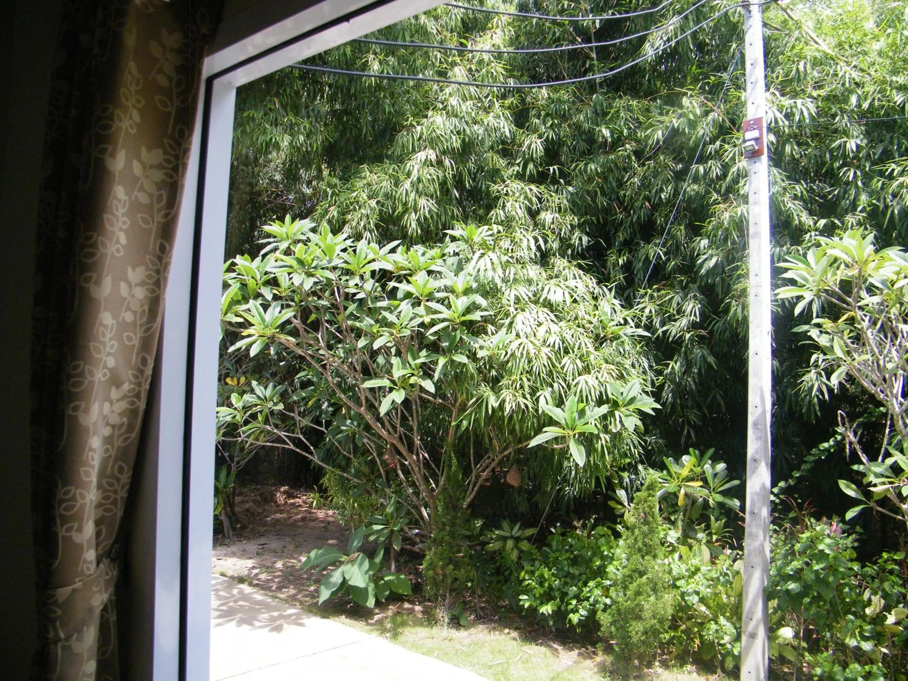 Natural landscape in Ya Teng Homestay