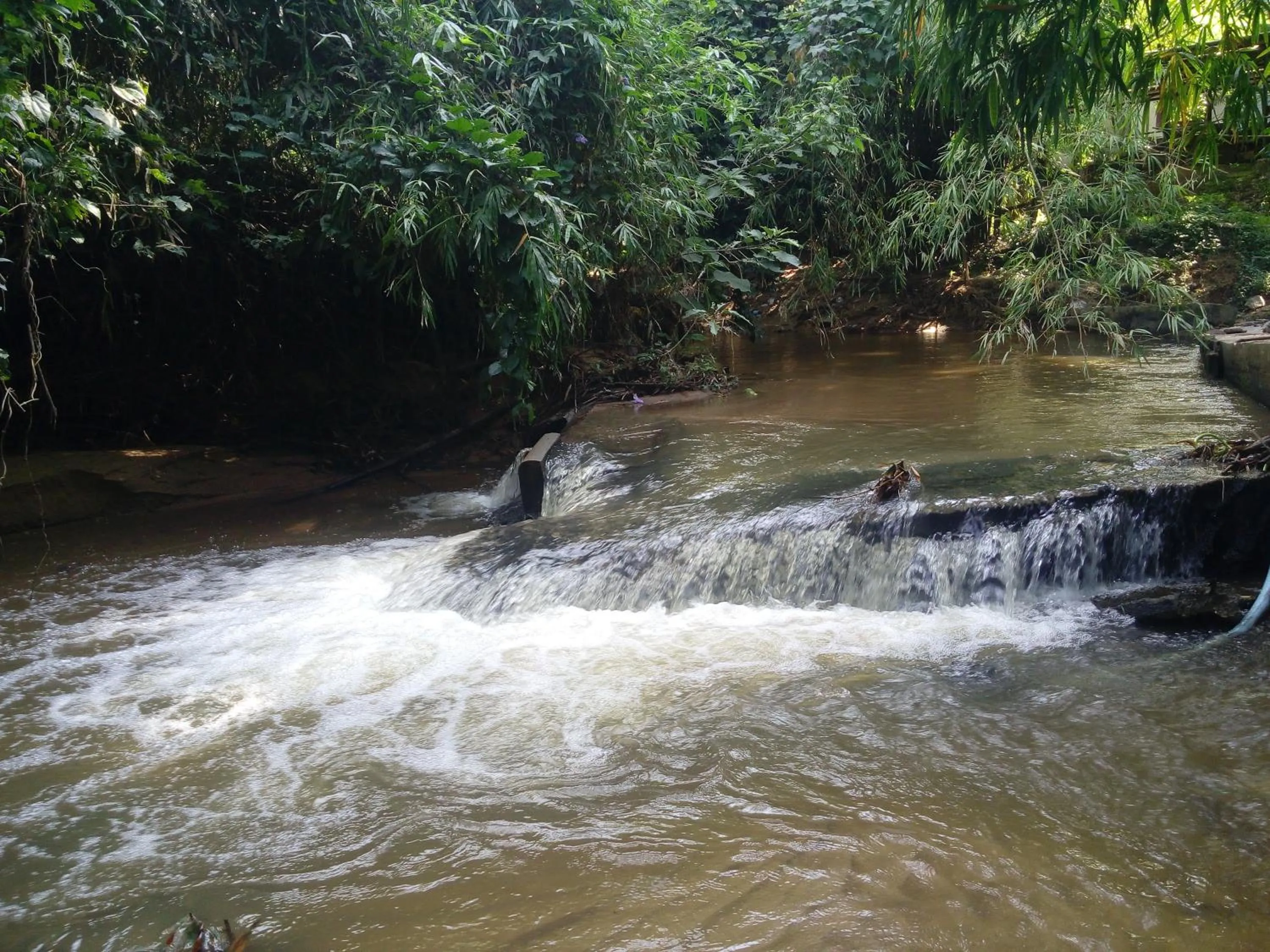 Activities in Ya Teng Homestay