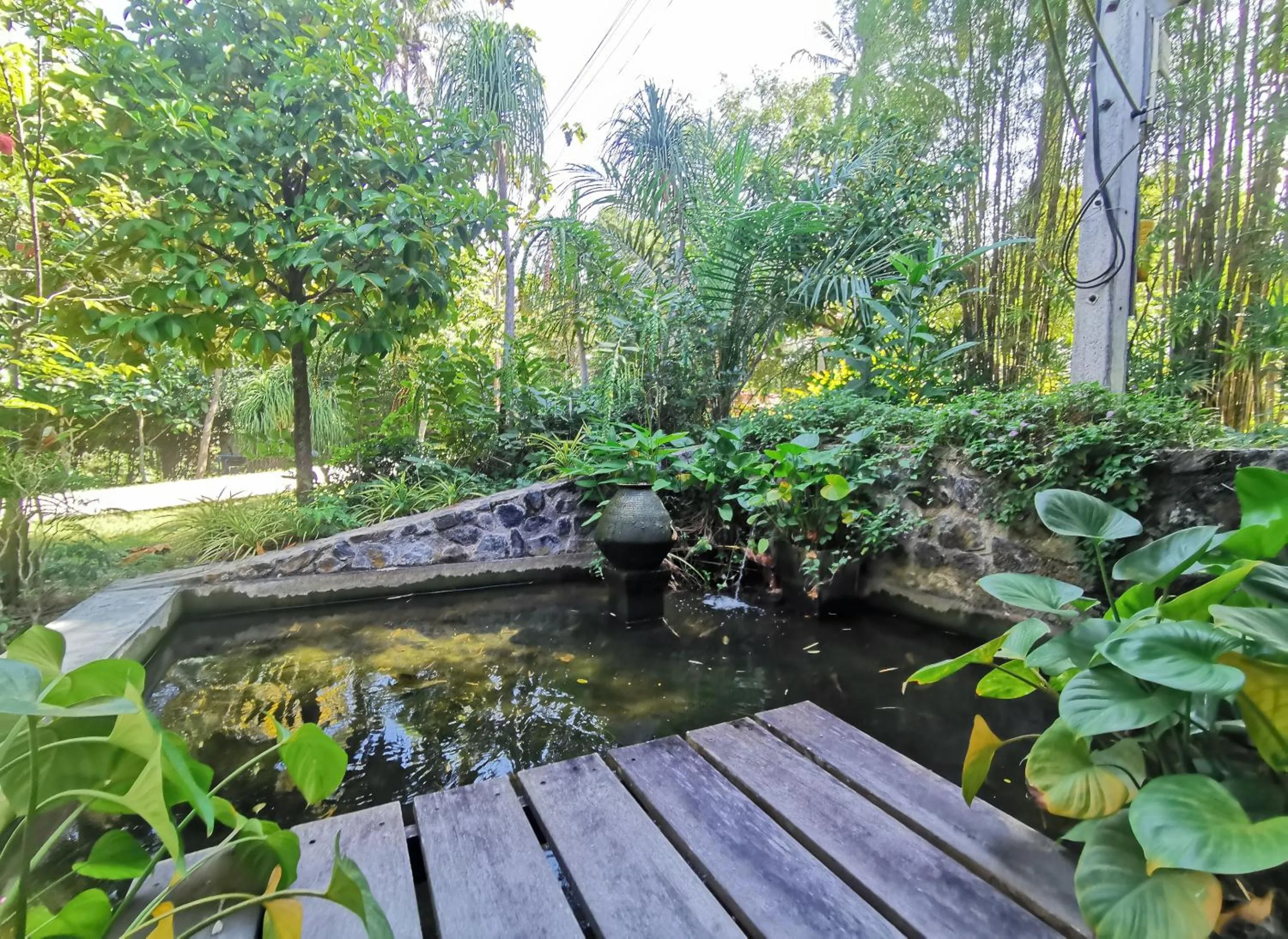 Garden in Ya Teng Homestay