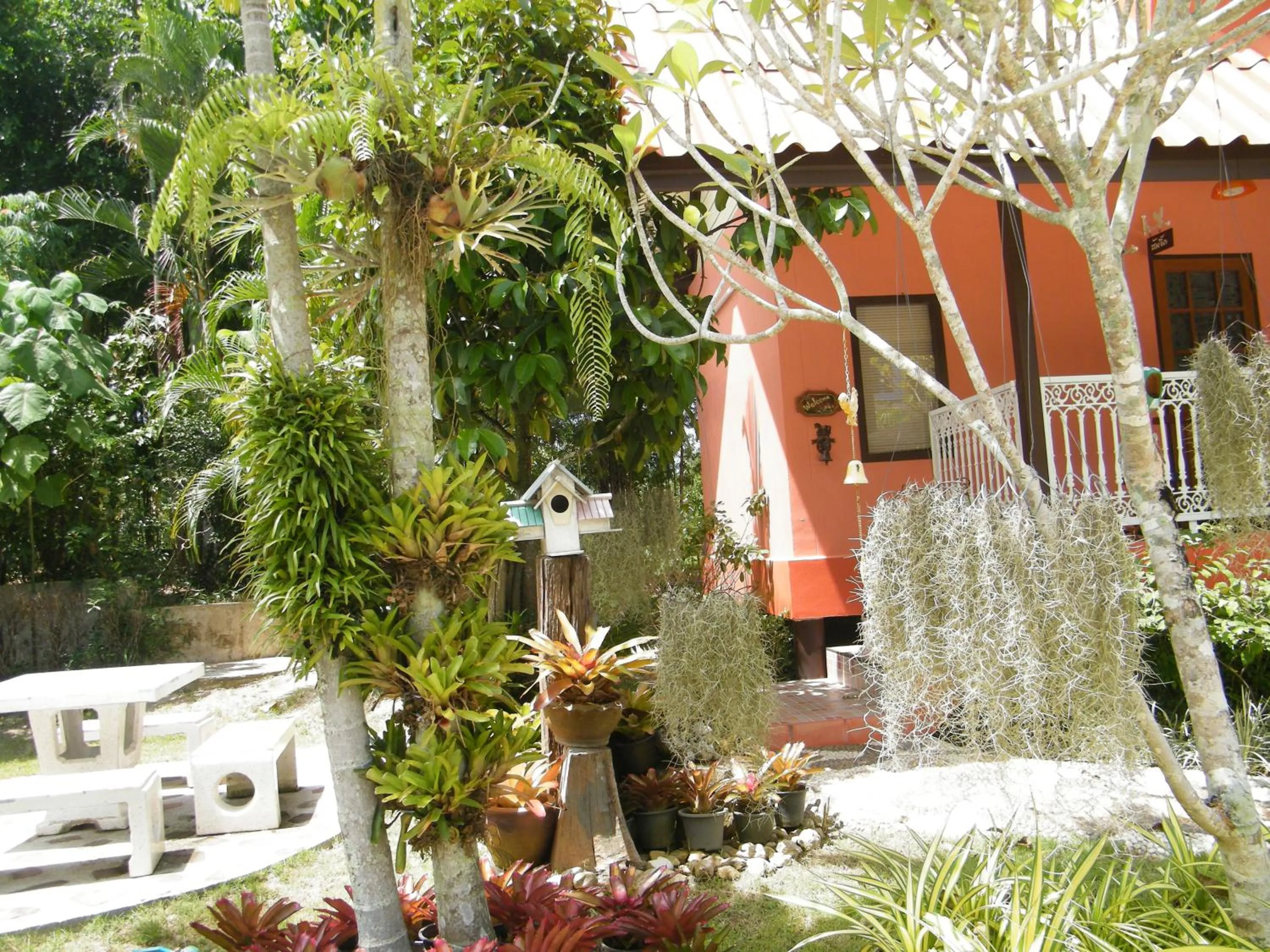 Garden in Ya Teng Homestay