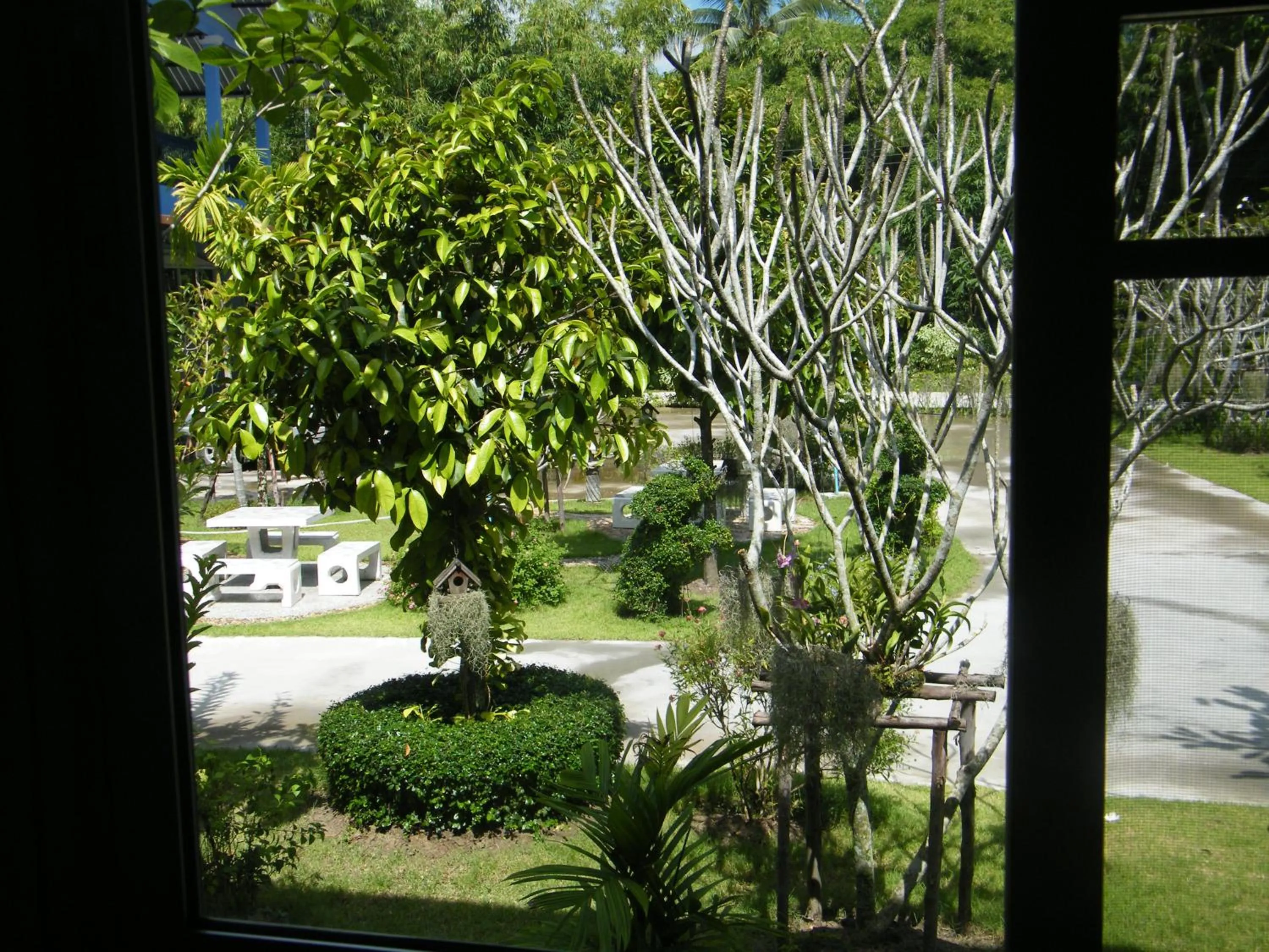 Garden view in Ya Teng Homestay