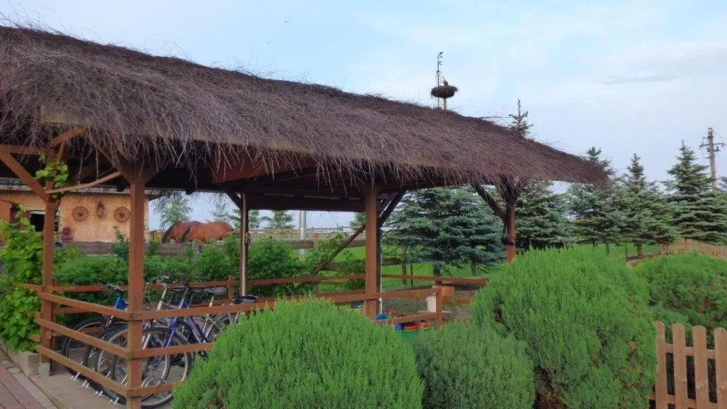 Activities in Agroturystyka Klekusiowo