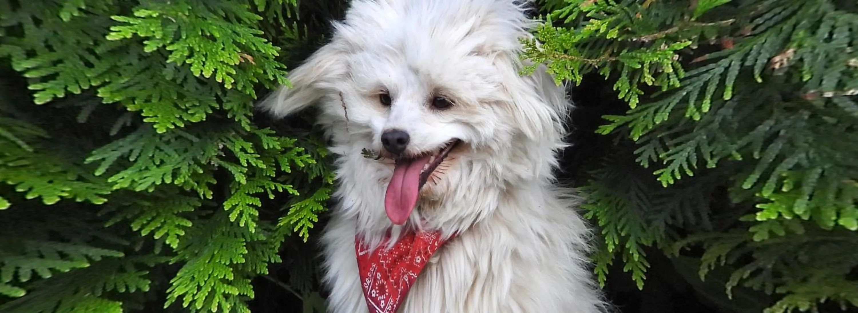 Agroturystyka Klekusiowo