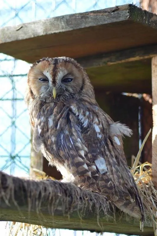 Property building in Agroturystyka Klekusiowo