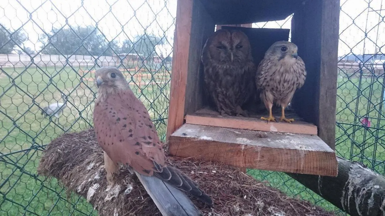 Property building in Agroturystyka Klekusiowo