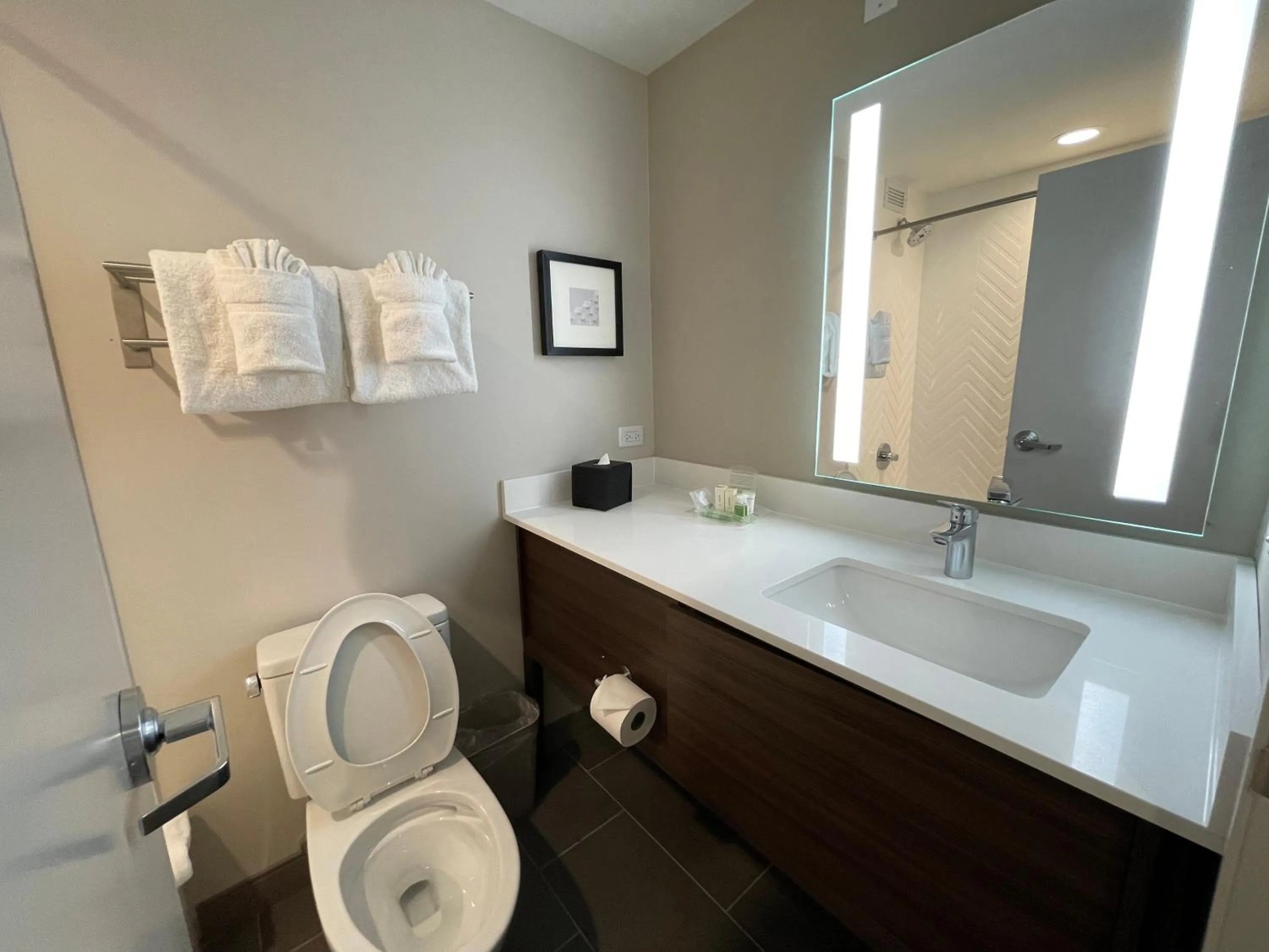 Bathroom in Holiday Inn Hotel & Suites Chicago - Downtown by IHG