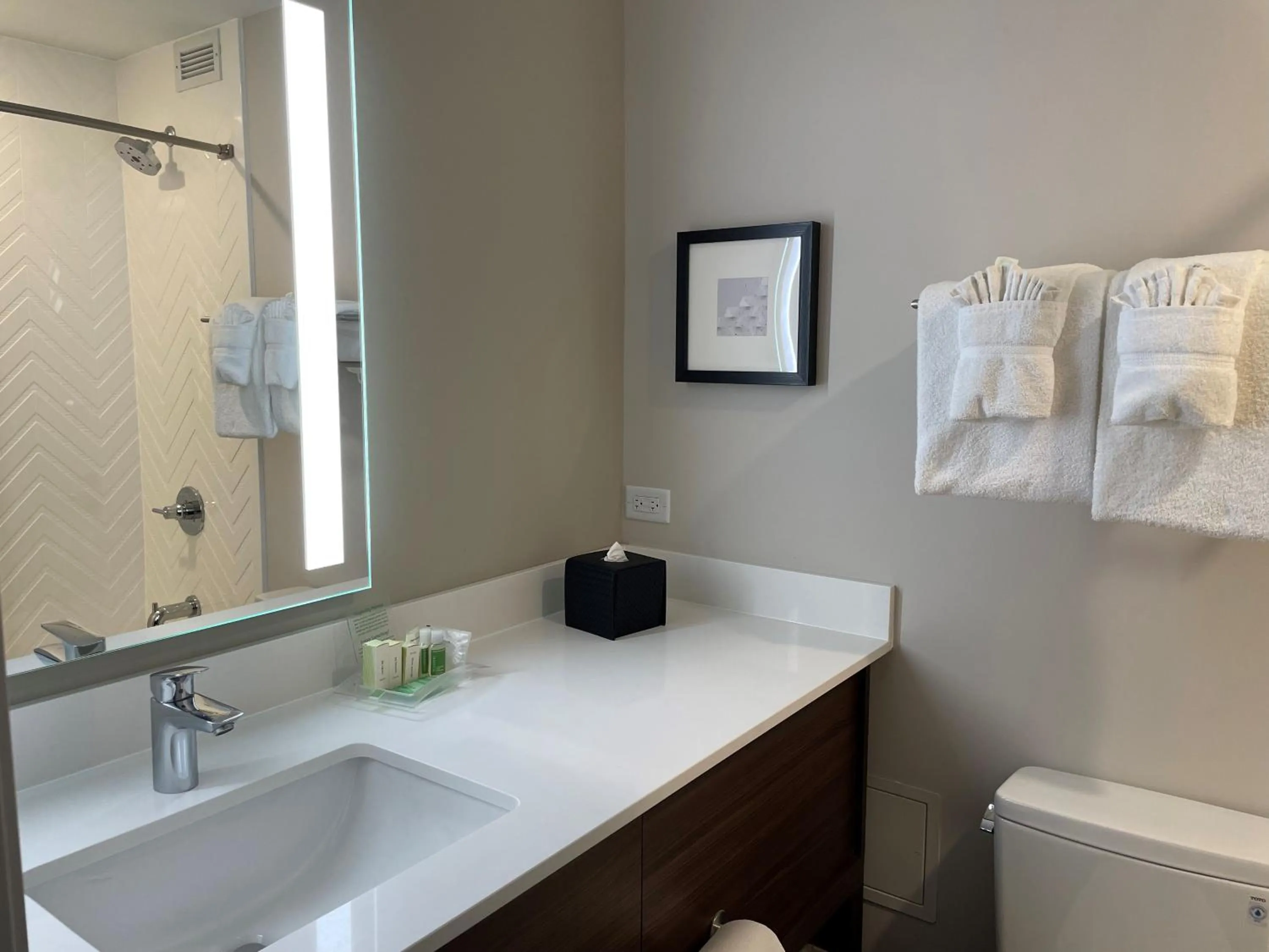 Toilet in Holiday Inn Hotel & Suites Chicago - Downtown by IHG
