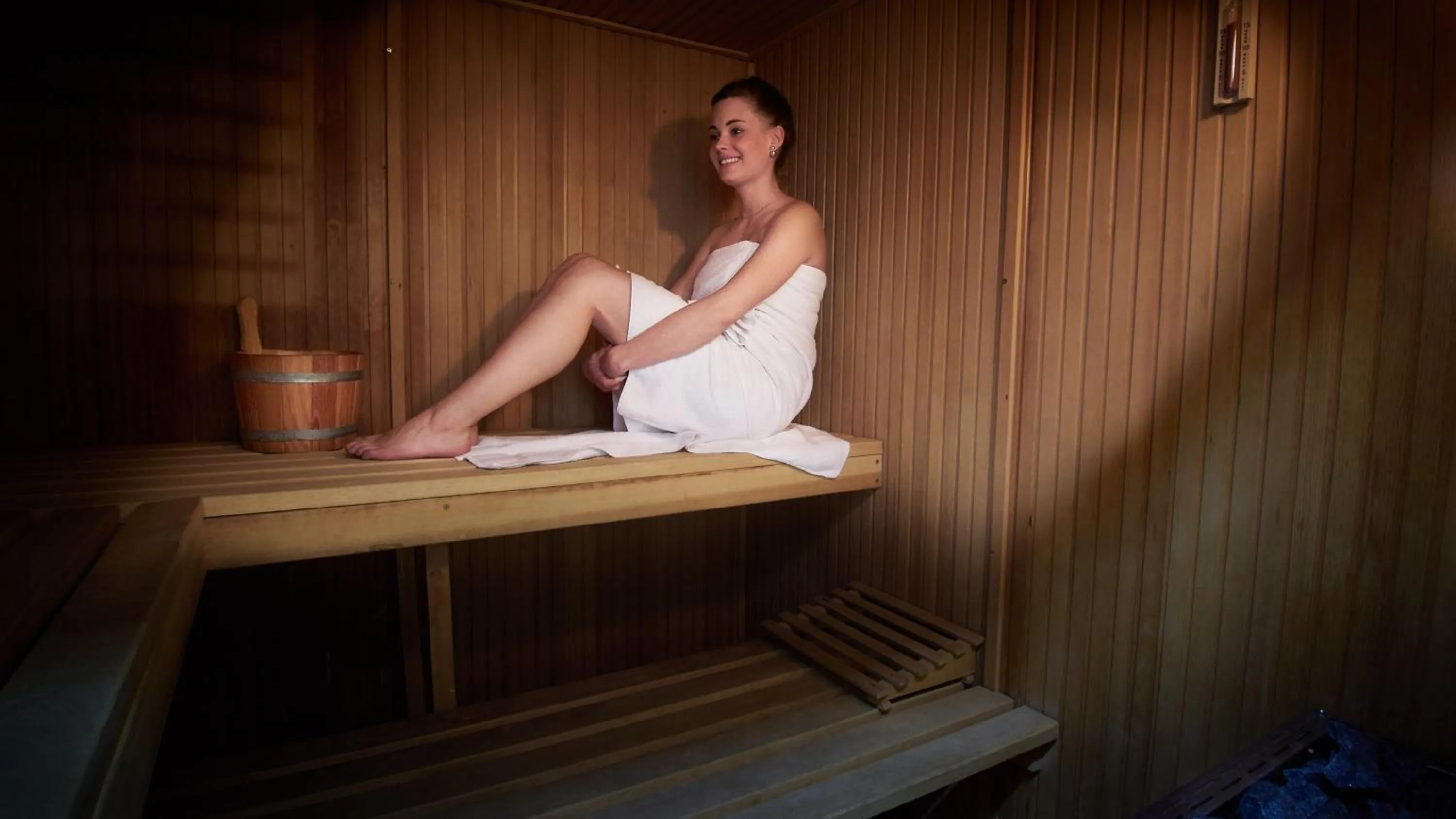 Sauna in Villa Silva