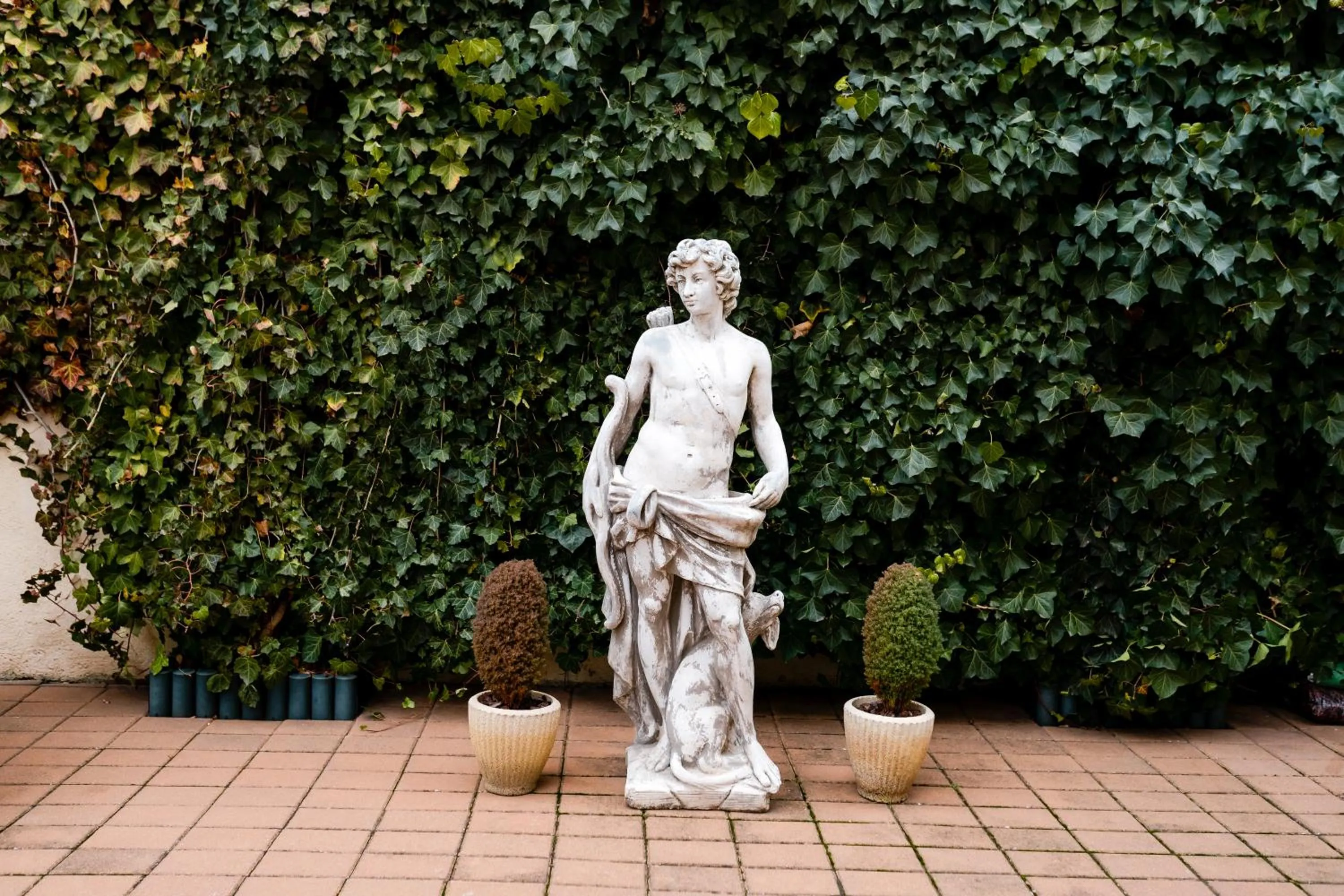 Garden in Rosen Villa Sibiu