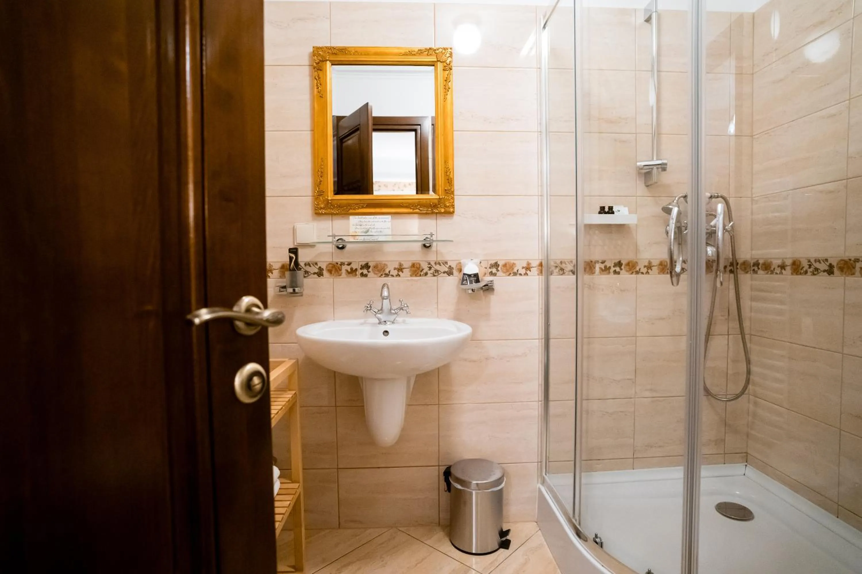 Shower in Rosen Villa Sibiu