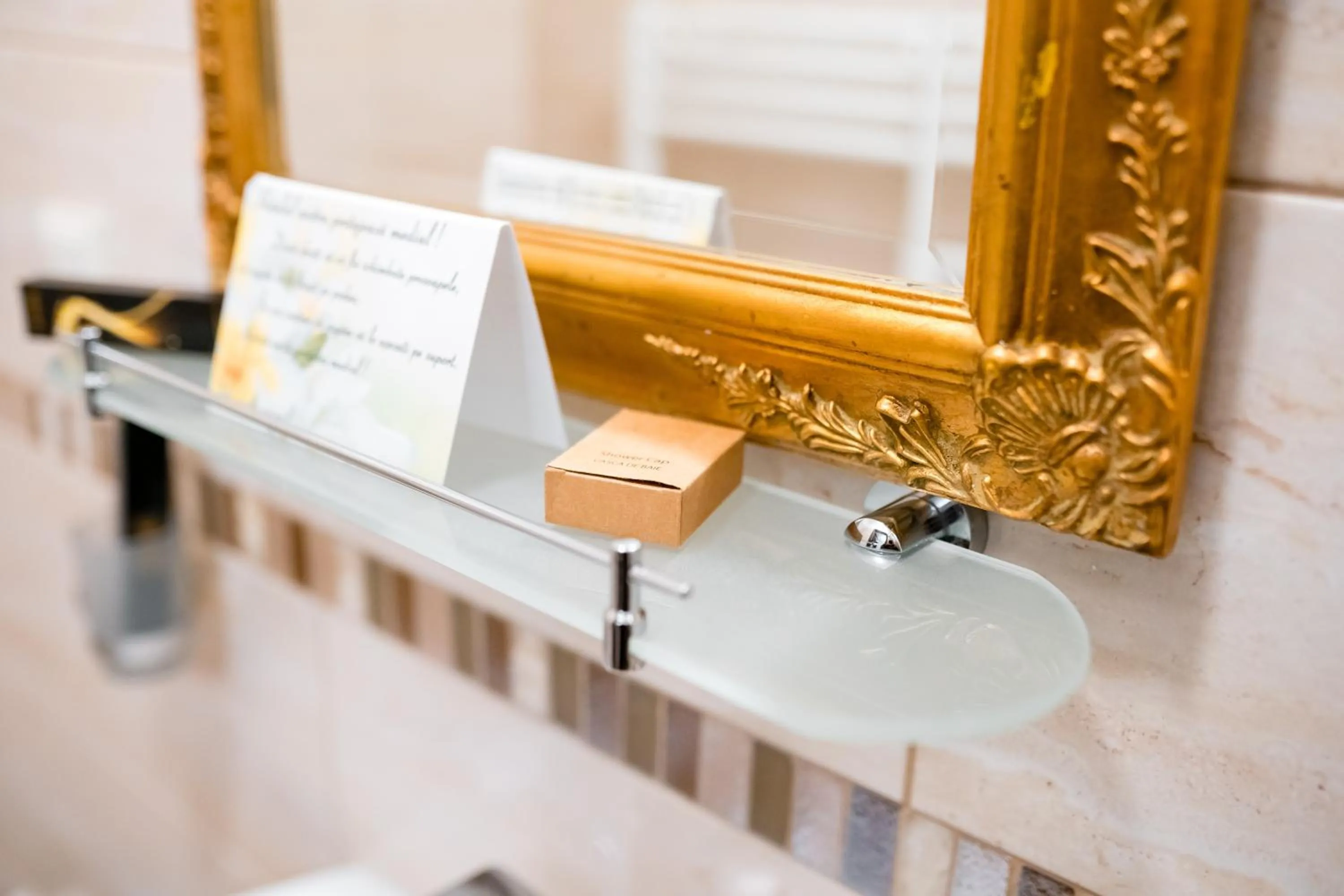 Bathroom in Rosen Villa Sibiu