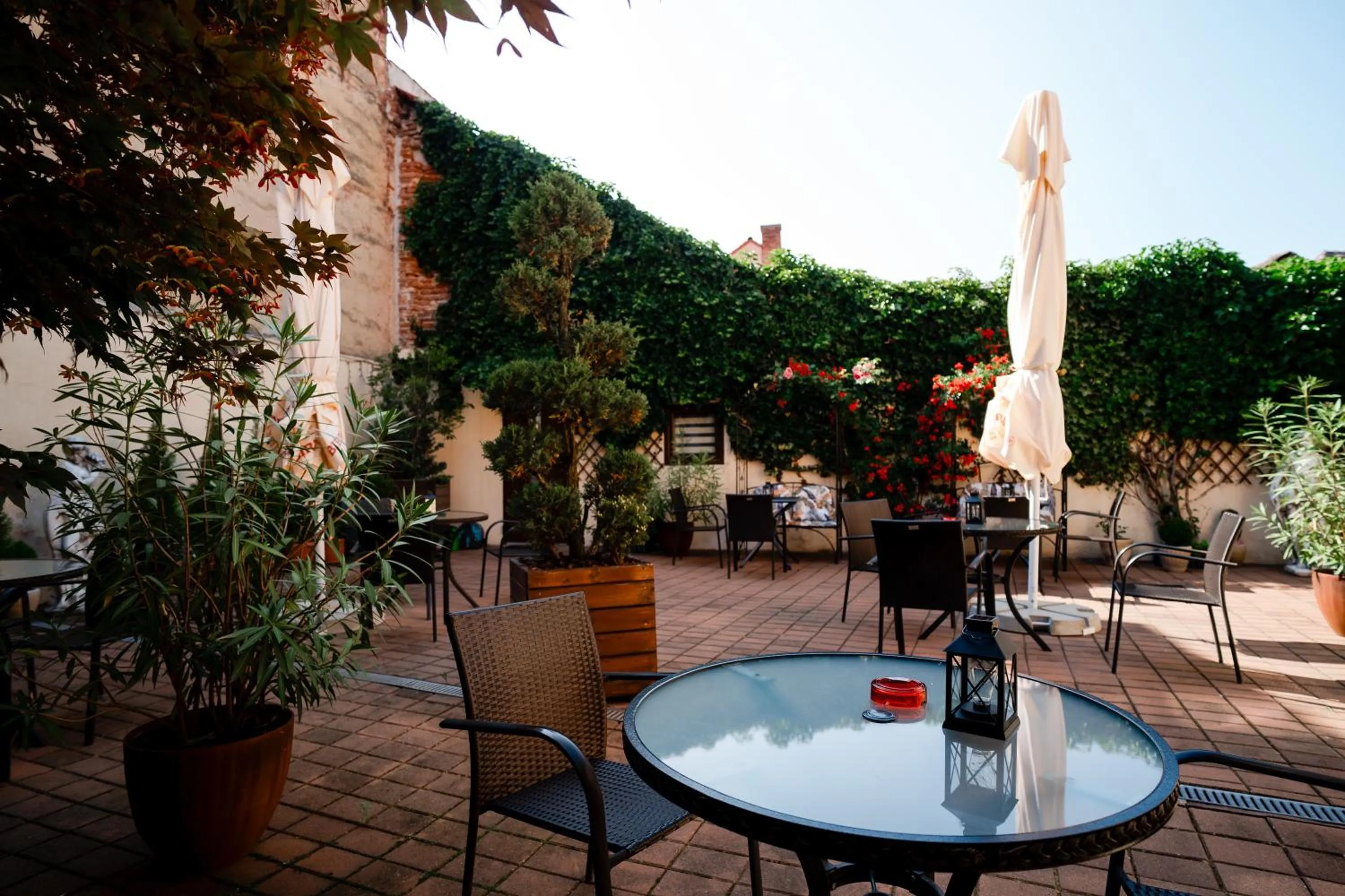Patio in Rosen Villa Sibiu