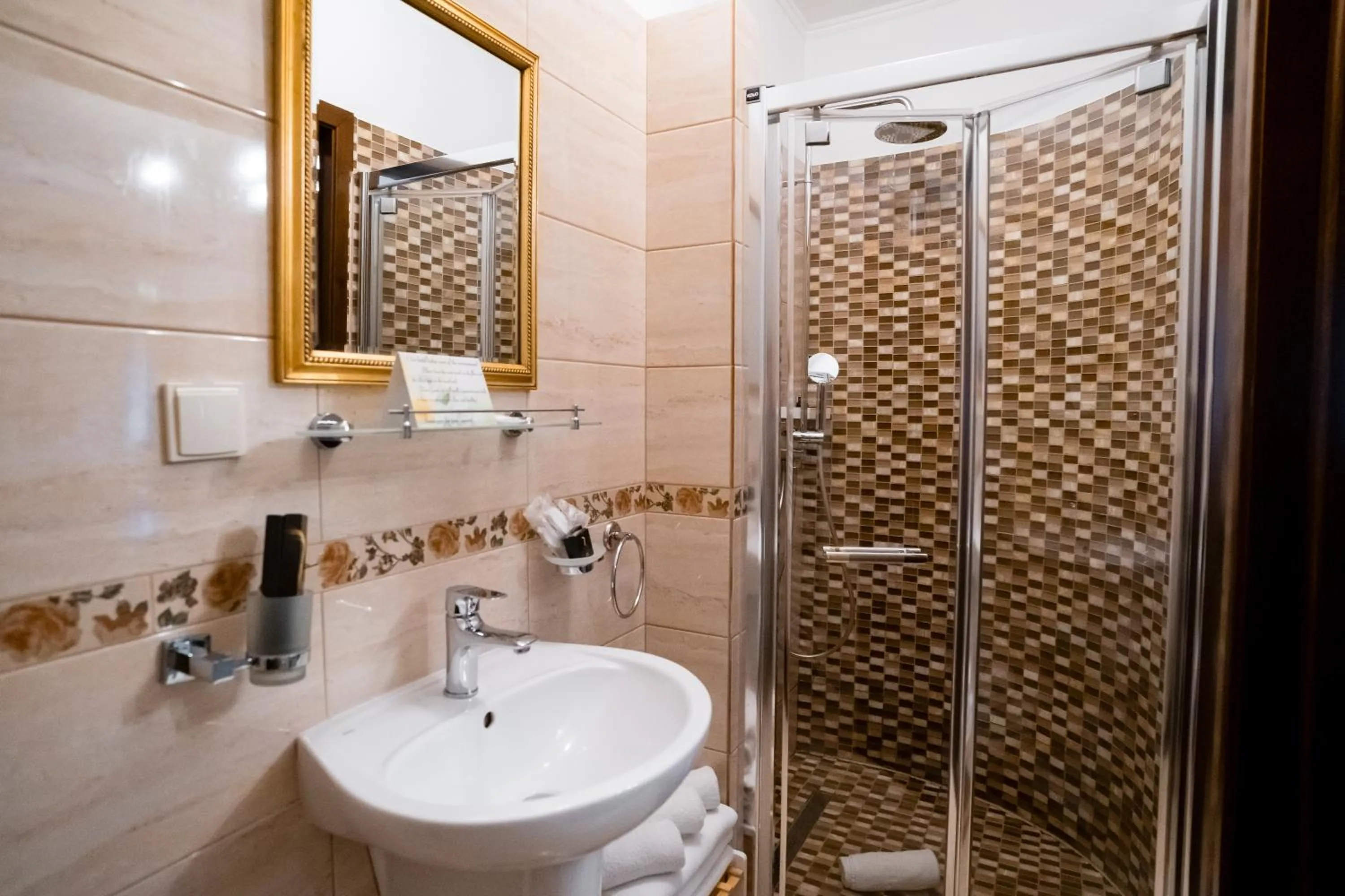 Shower in Rosen Villa Sibiu