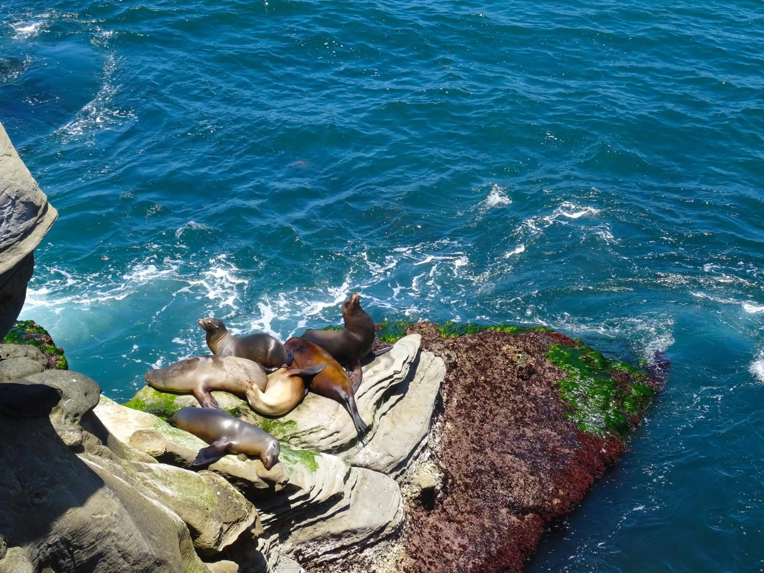 Nearby landmark in Crowne Plaza San Diego - Mission Valley by IHG