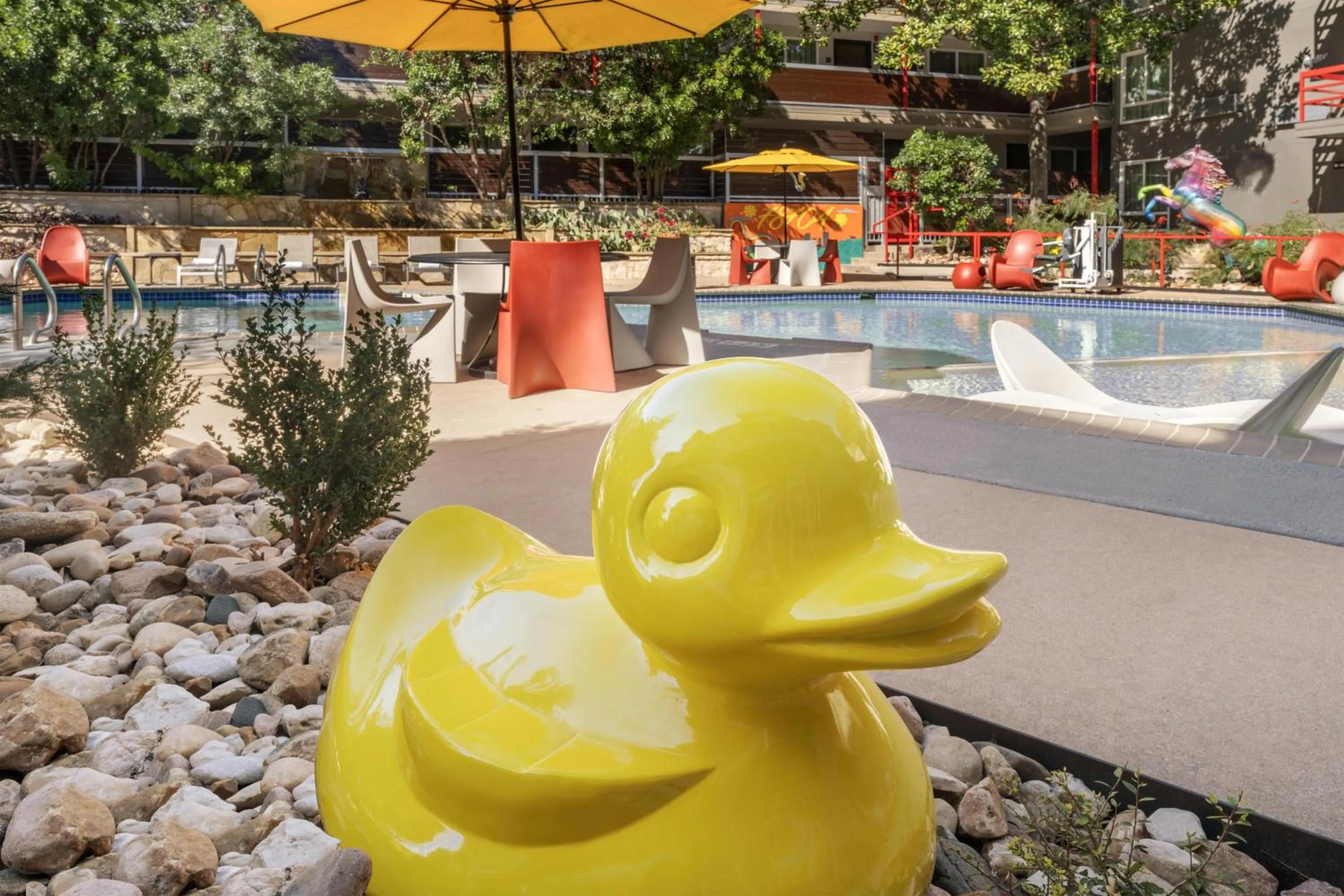 Pool view in Aiden Austin City Hotel