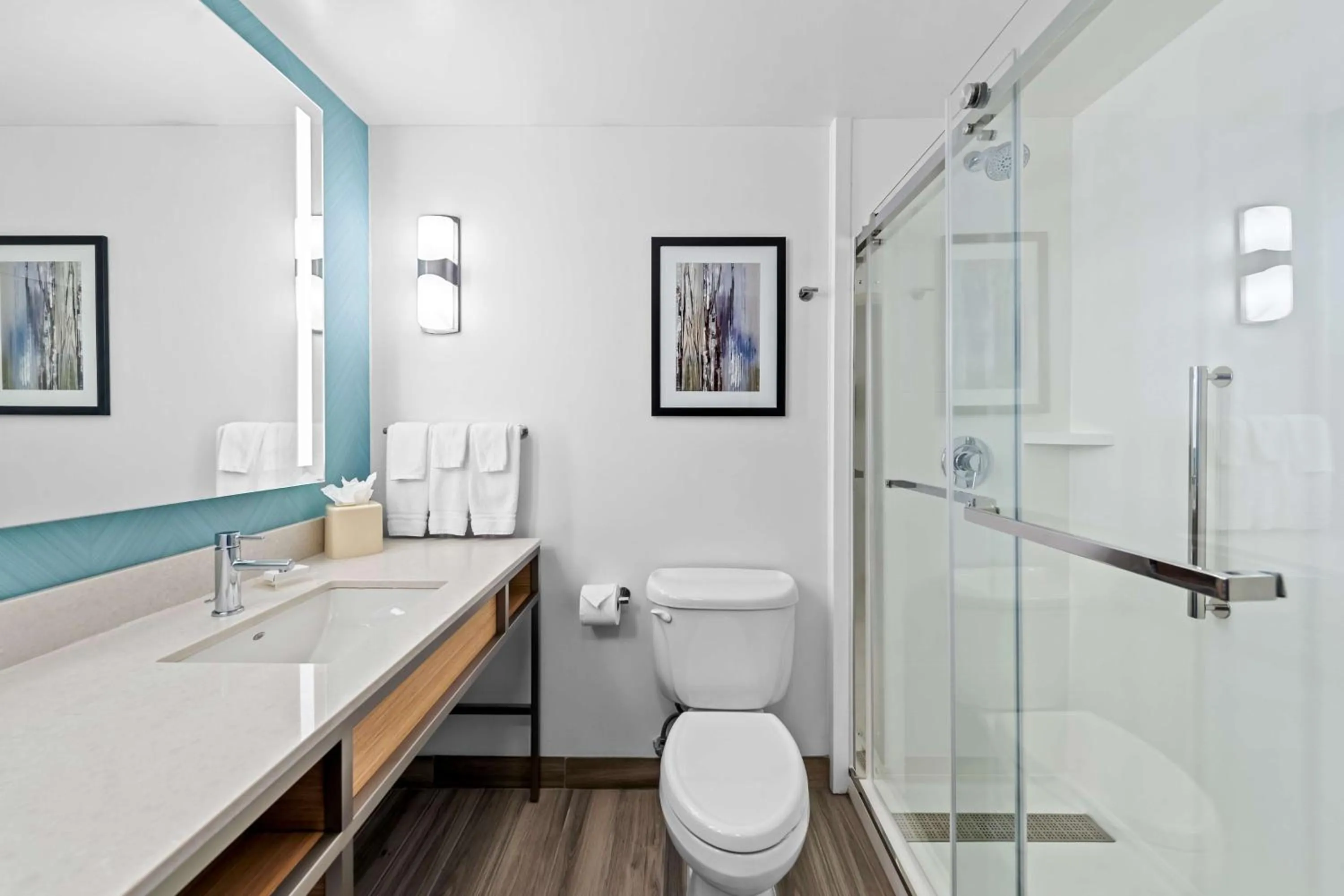 Bathroom in Hilton Garden Inn Seattle North/Everett