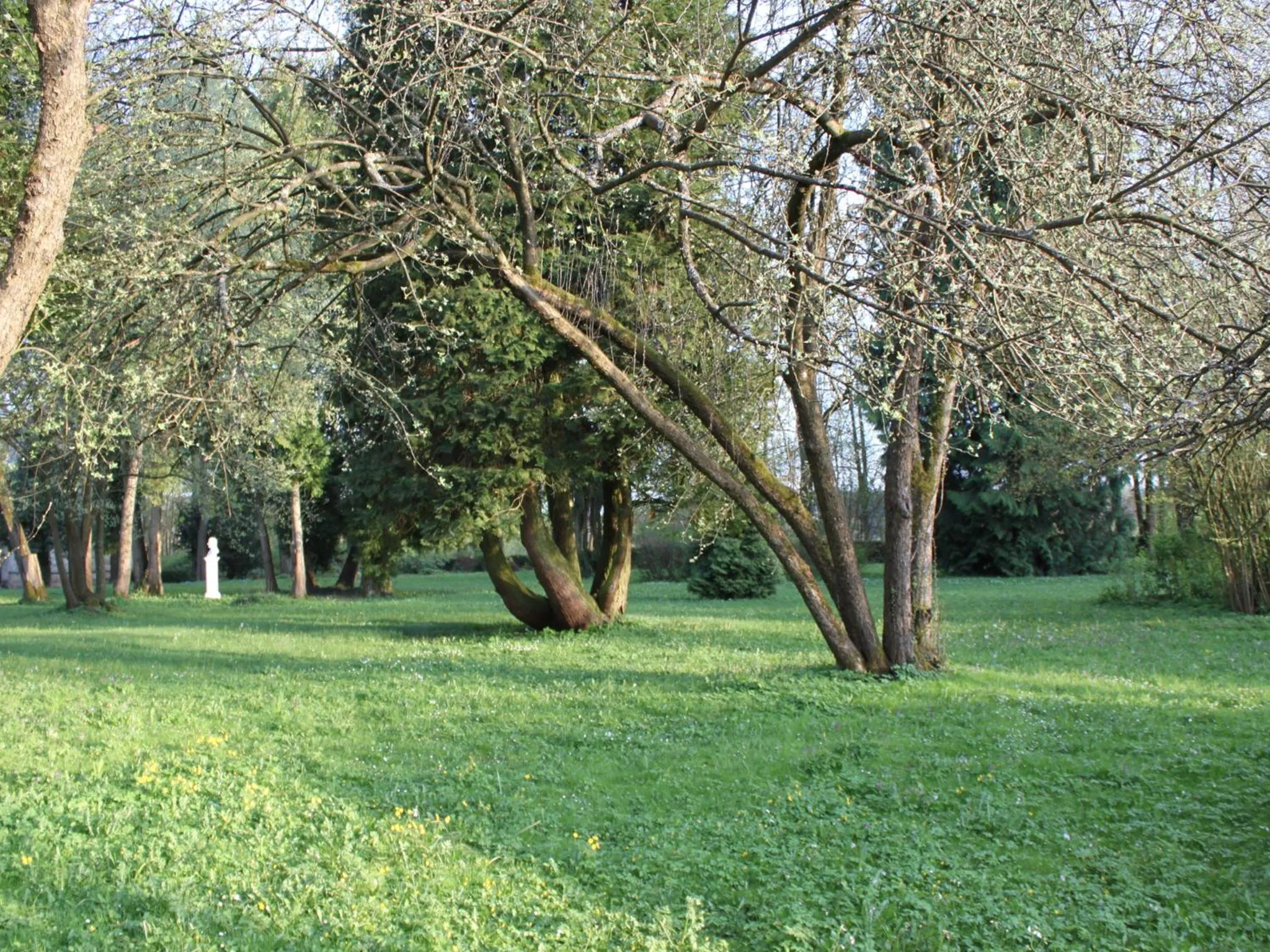 Natural landscape in DORMERO Schlosshotel Reichenschwand