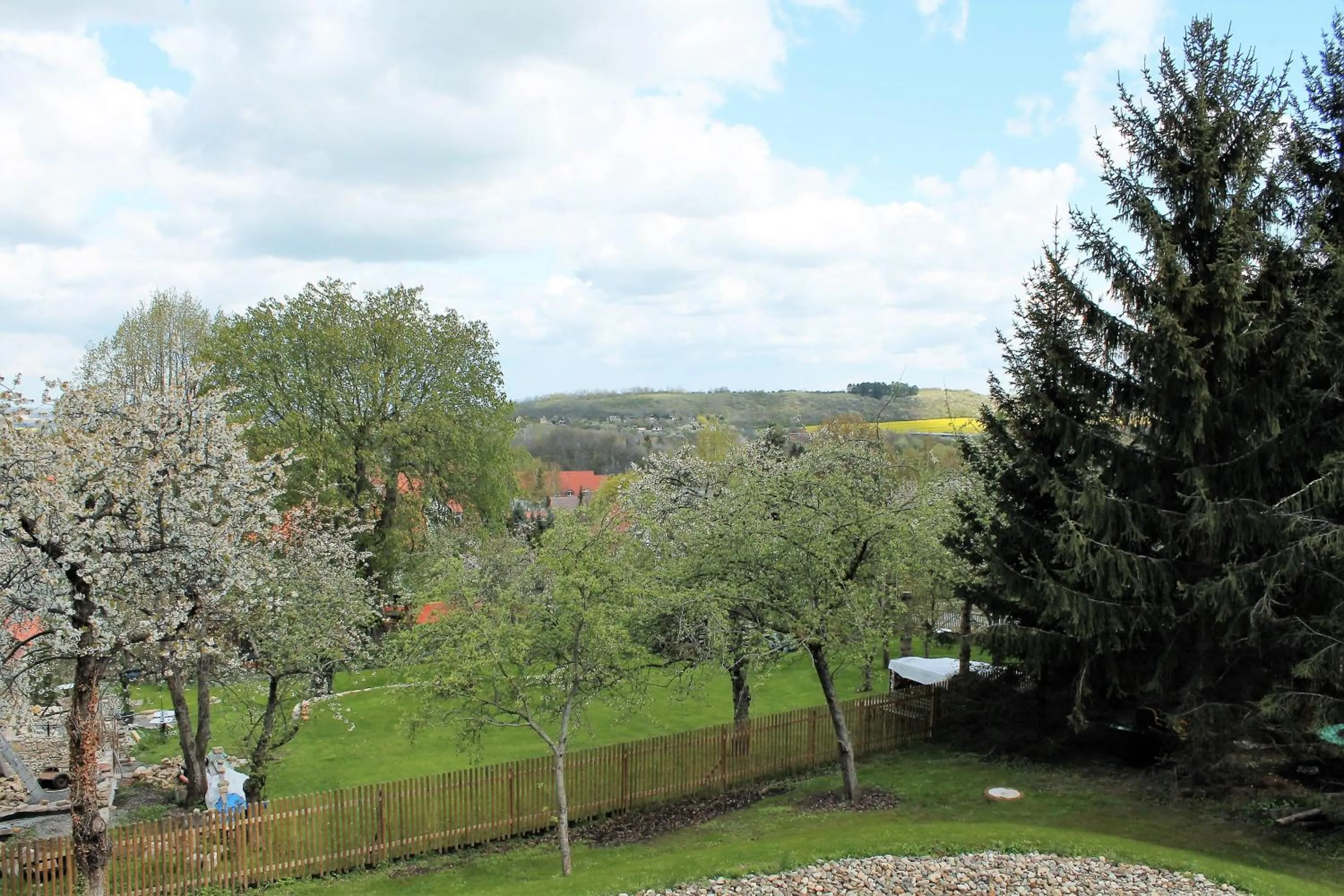View (from property/room) in Le petit Palais - Apartments
