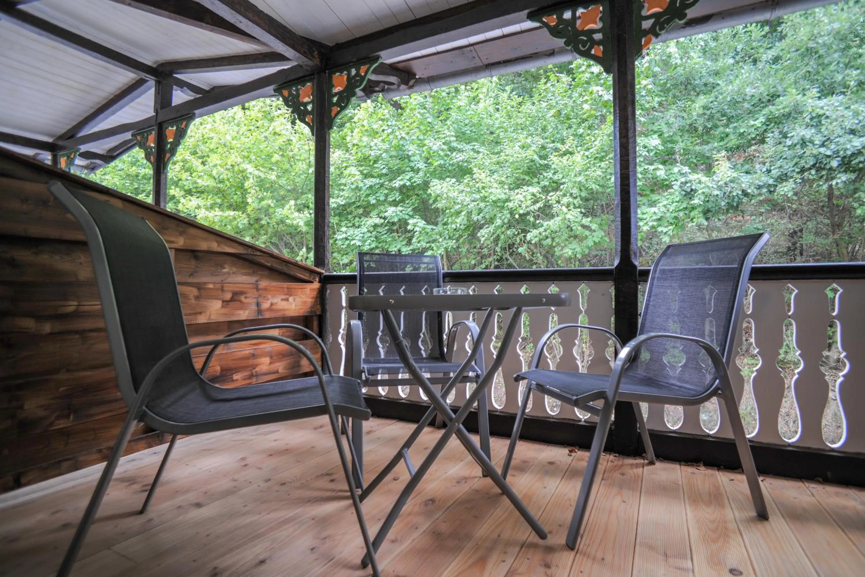 Balcony/Terrace in Le petit Palais - Apartments
