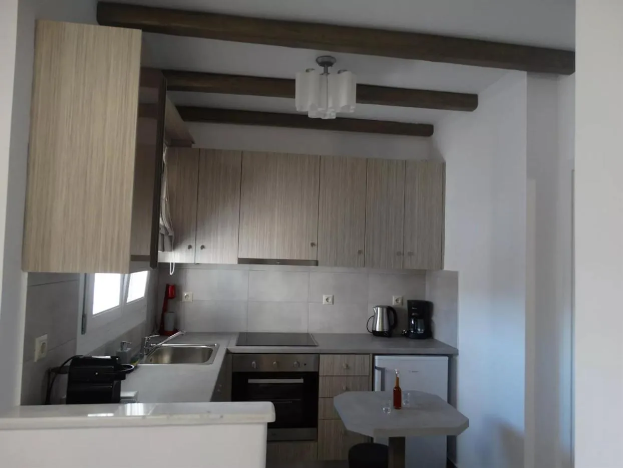 Kitchen or kitchenette in Skopelitis Village