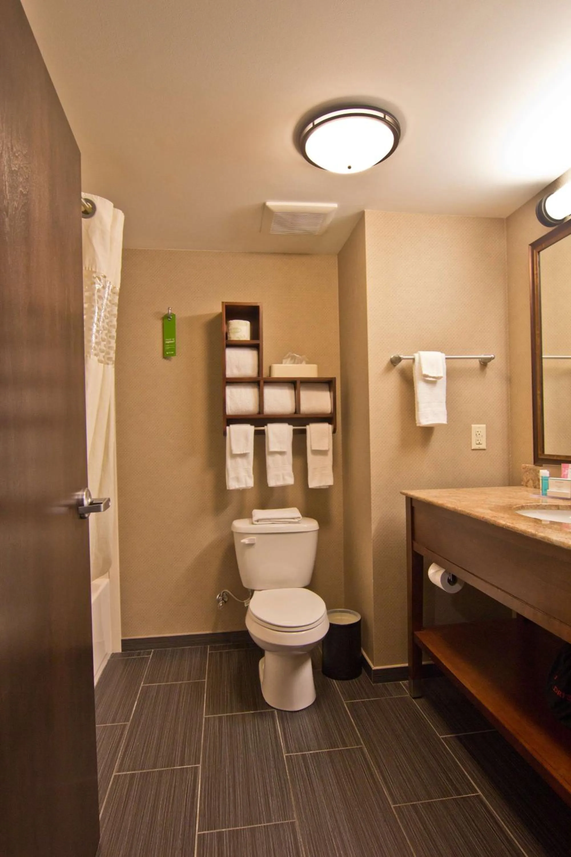 Bathroom in Hampton Inn Columbus-South