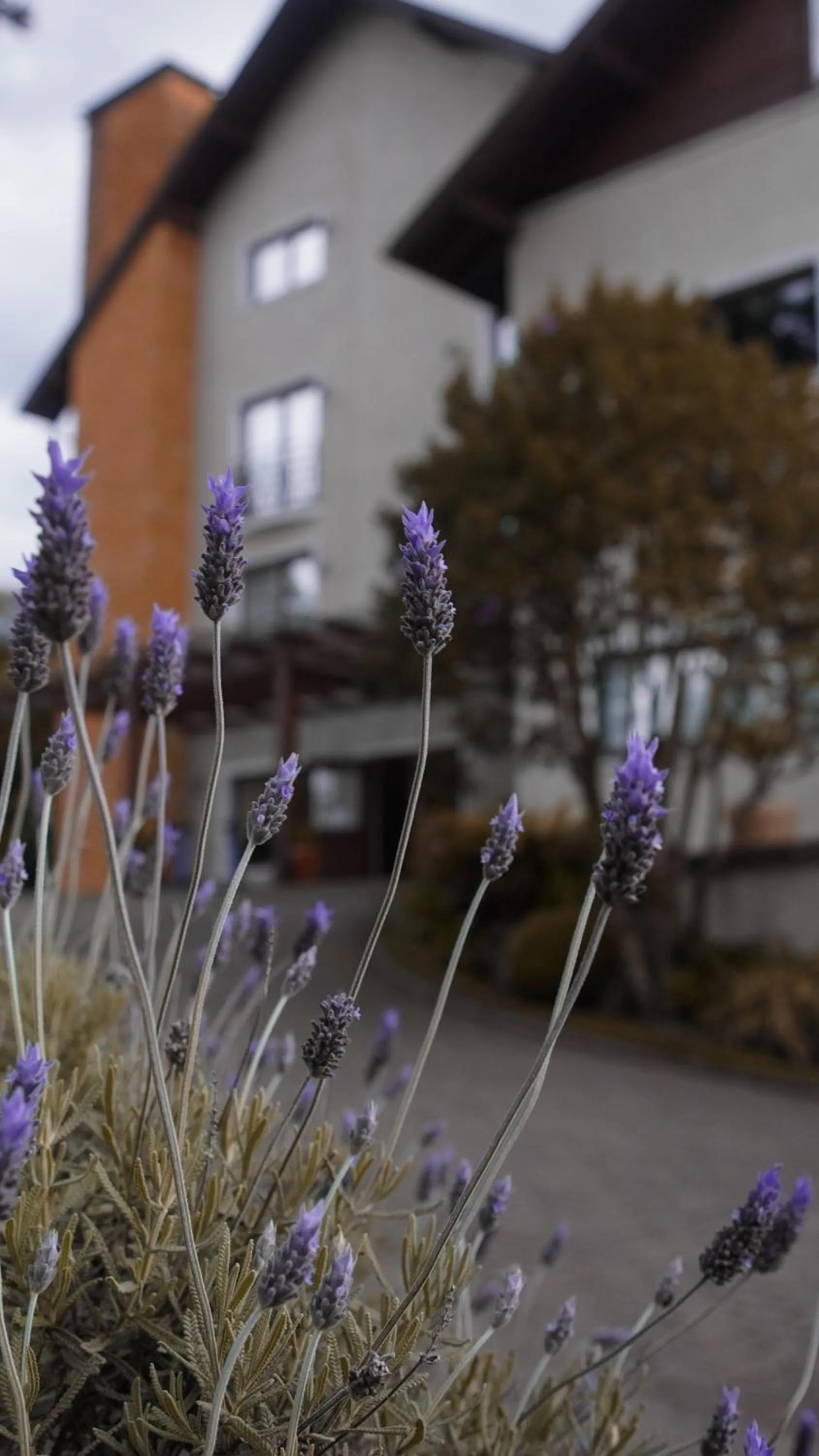 Property building in Hotel Gramado Interlaken