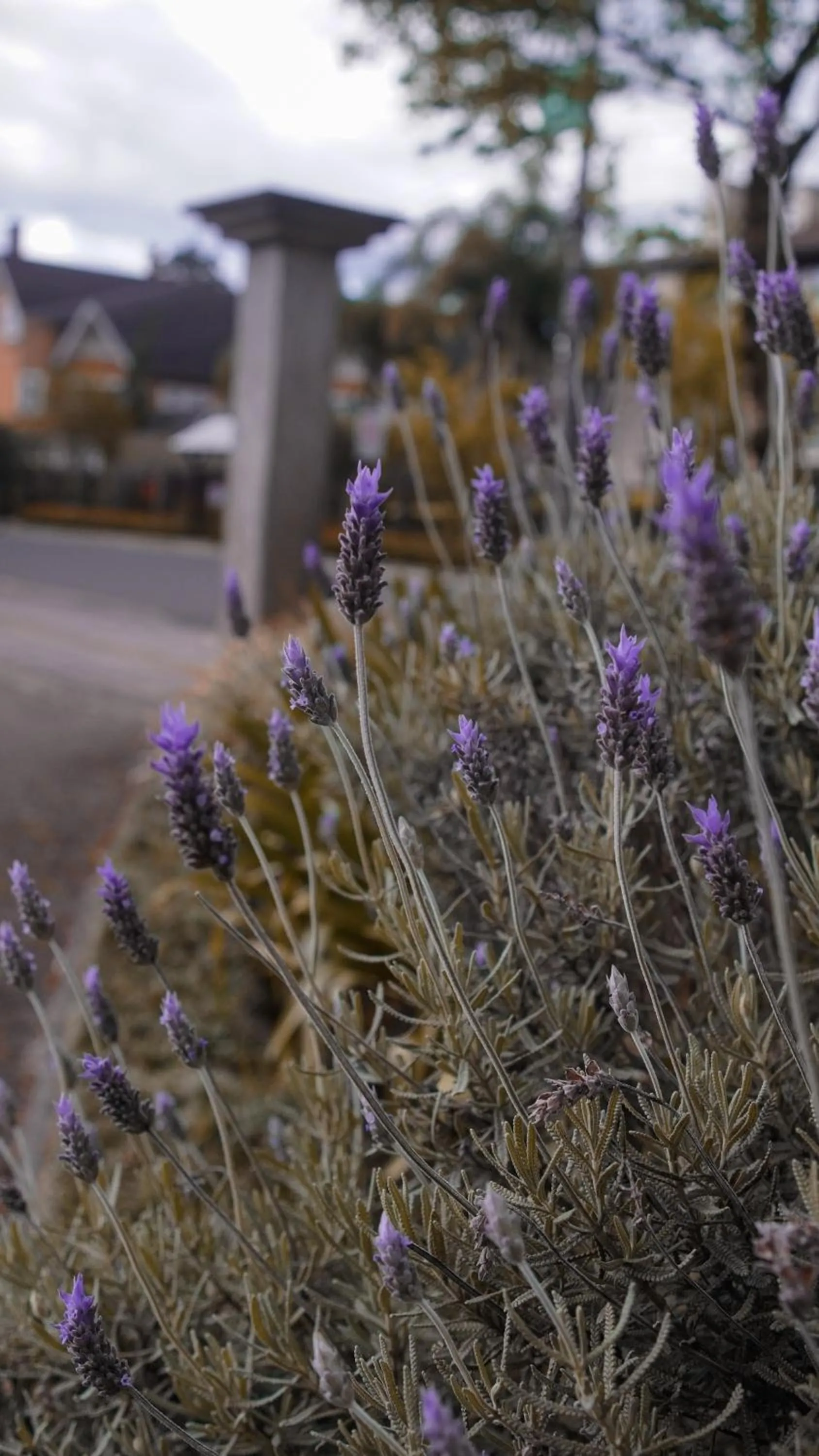 Hotel Gramado Interlaken