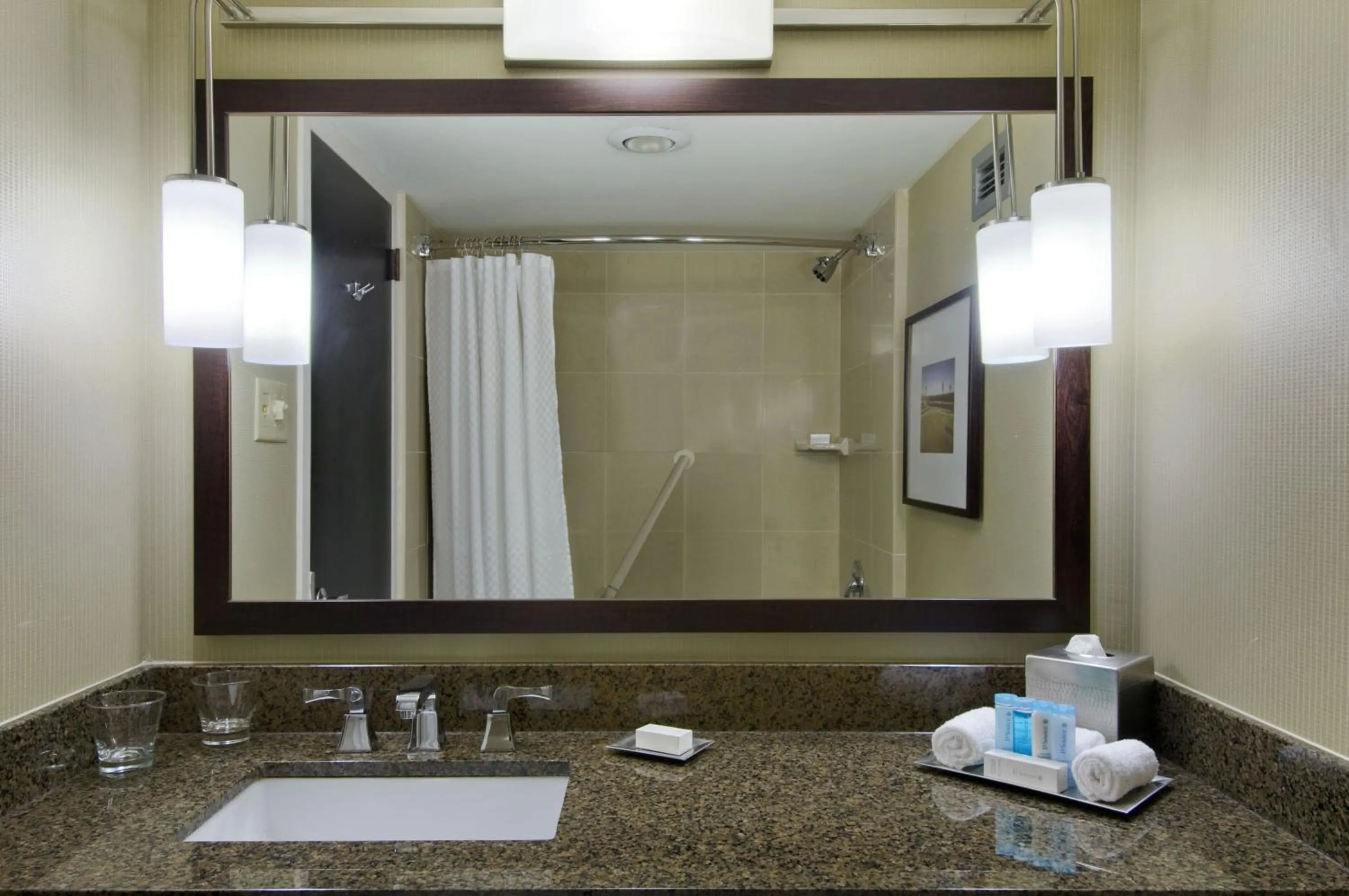 Bathroom in Hilton St. Louis at the Ballpark