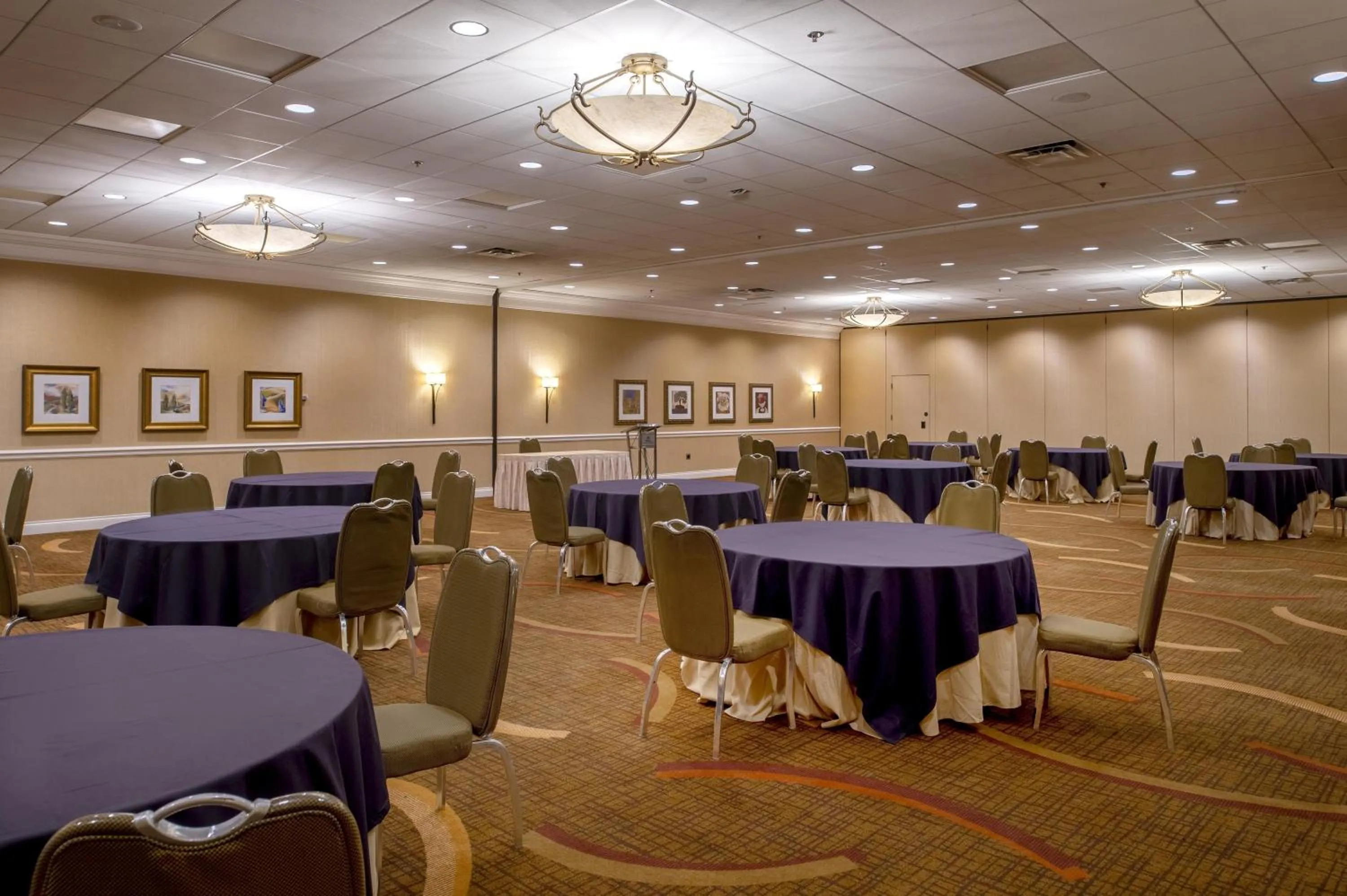 Meeting/conference room in Hilton St. Louis at the Ballpark