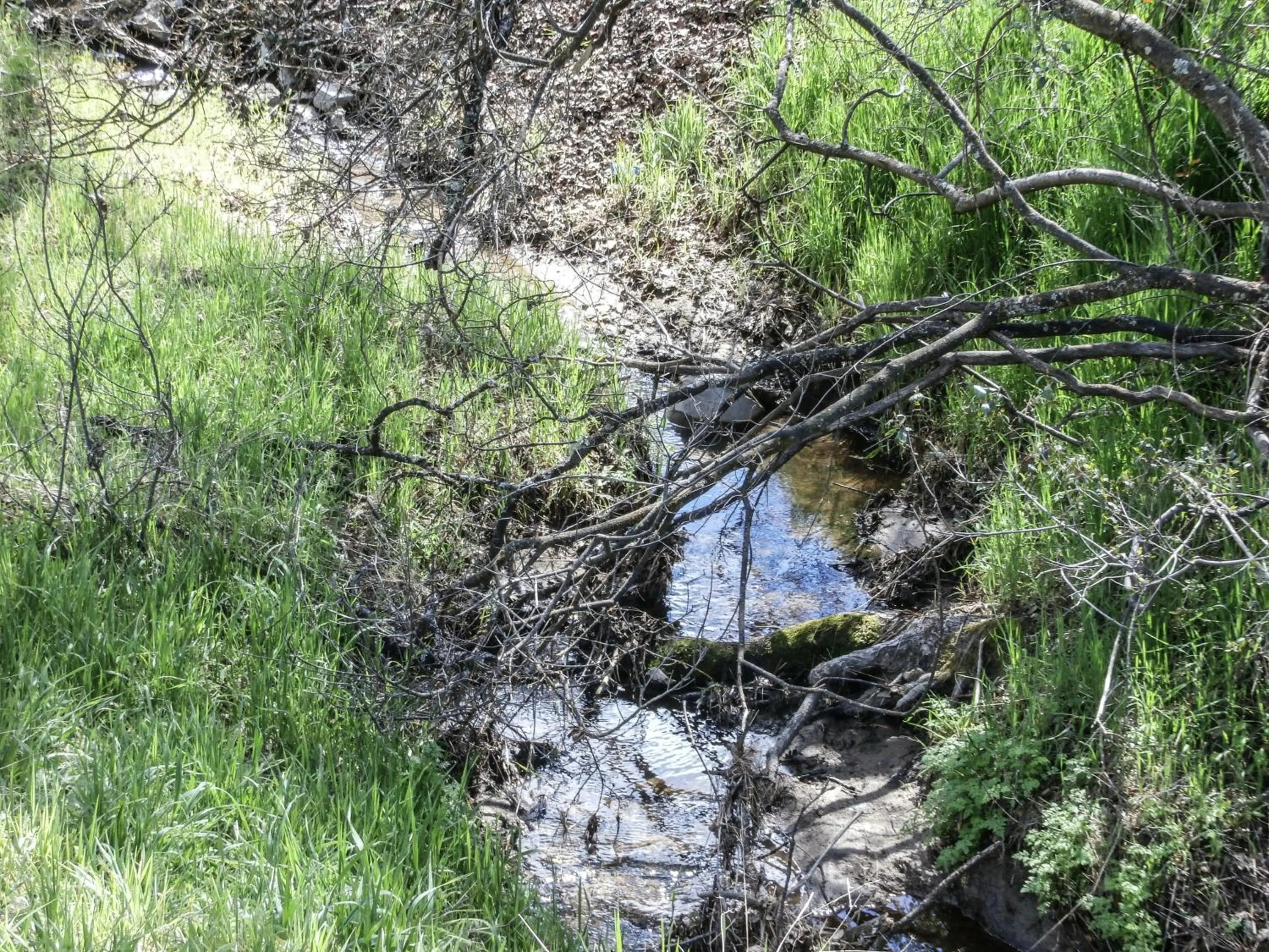 Landmark view in Charming Downstairs Unit